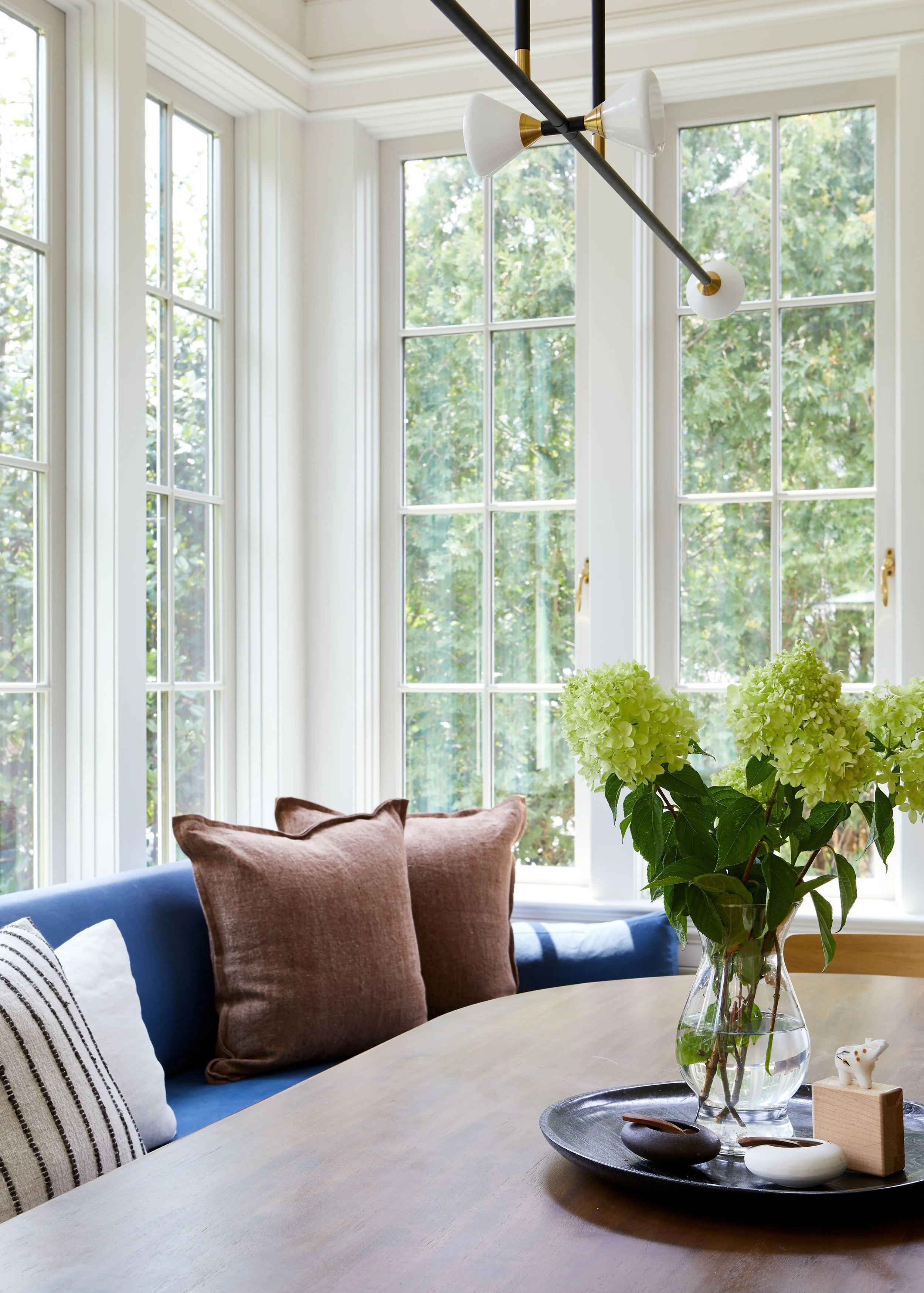 terri-ricci-interior-design-washington-dc-classic 0173.jpg
