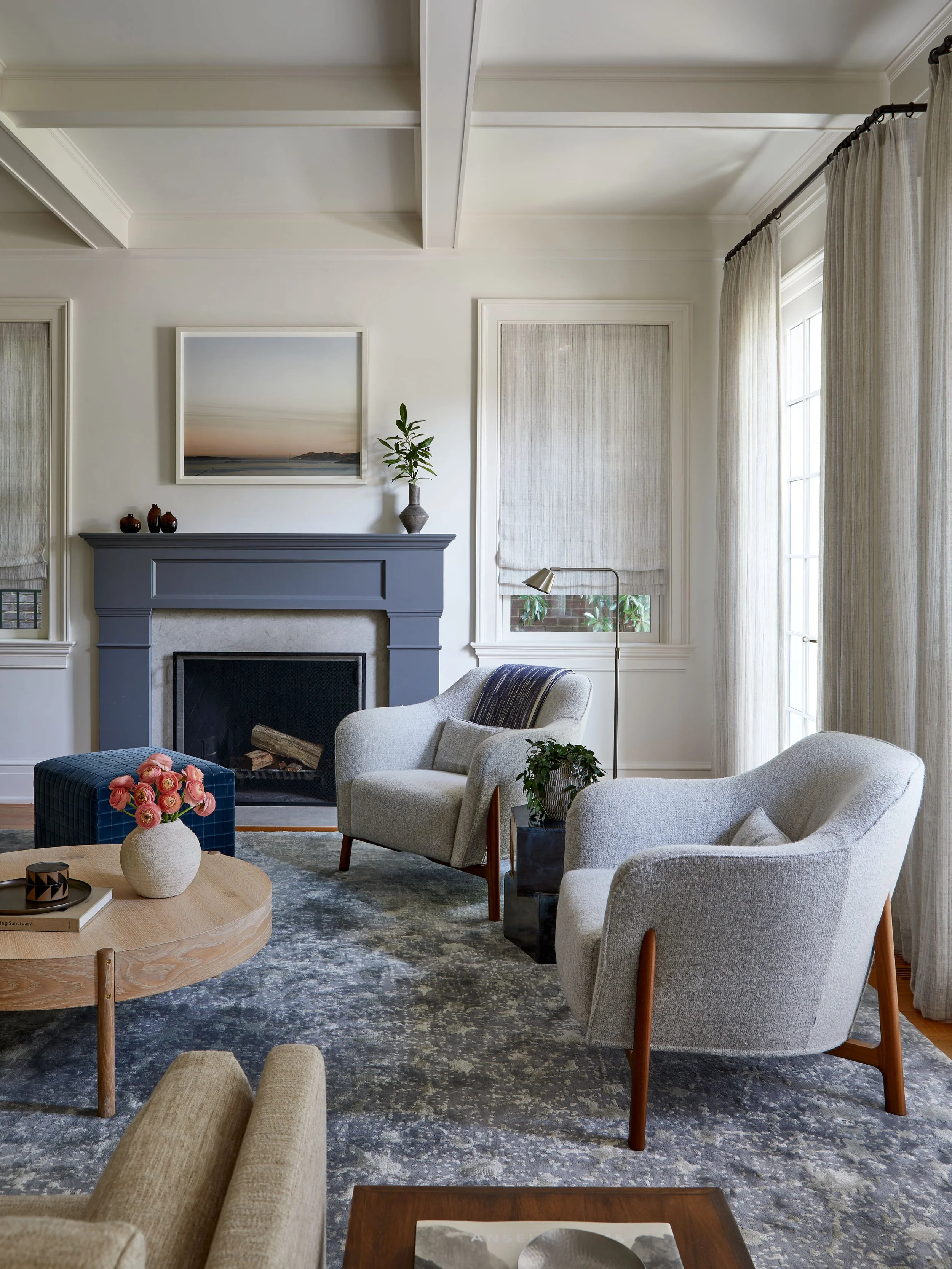 terri-ricci-interior-design-washington-dc-classic 0226X.jpg