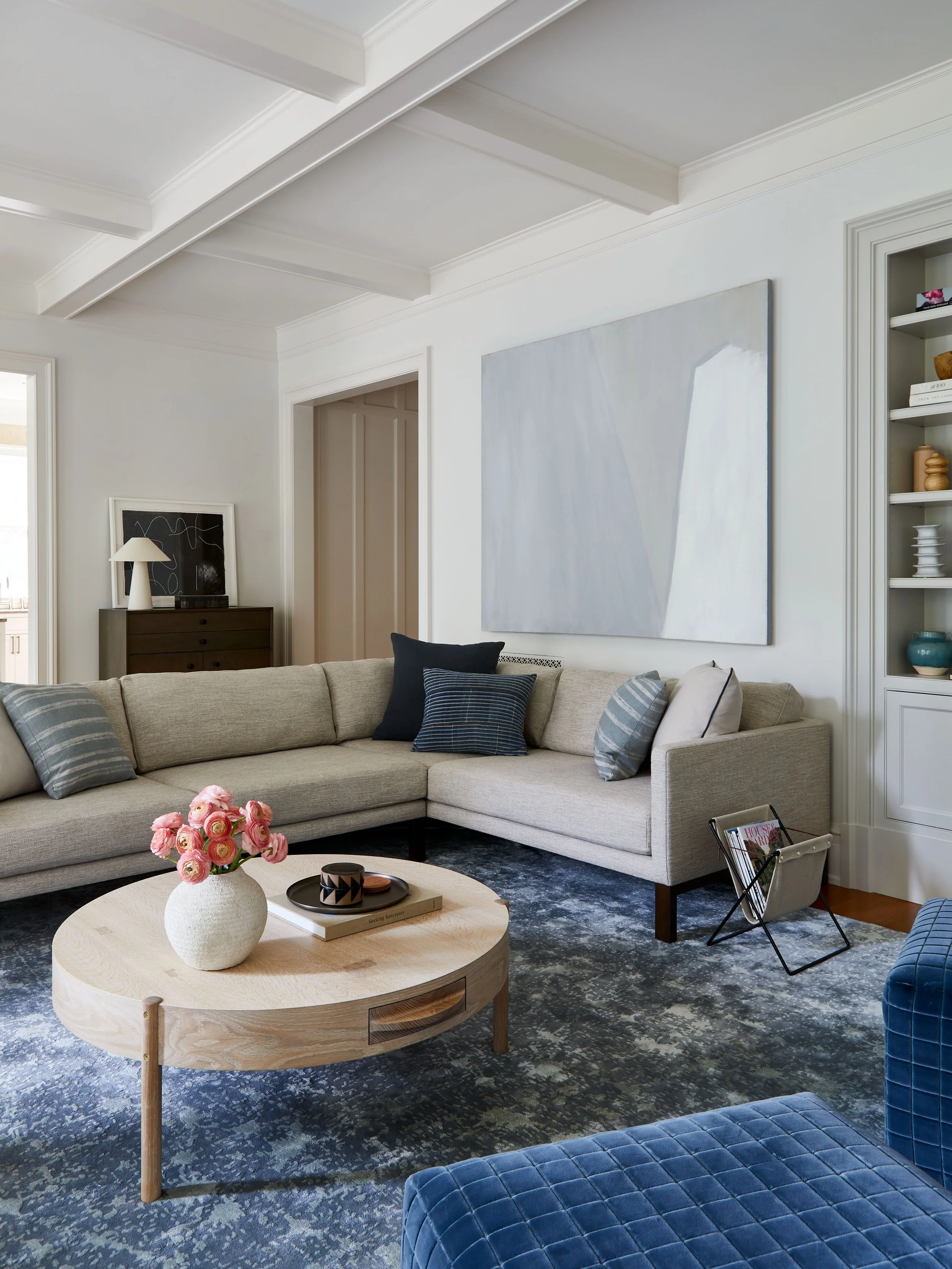 terri-ricci-interior-design-washington-dc-classic 0248X.jpg