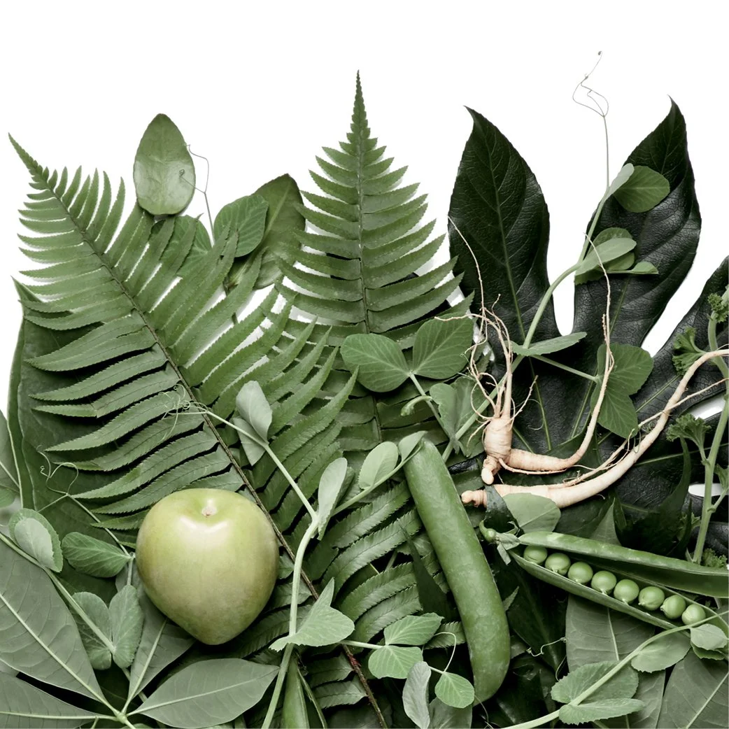 Portfolio_SITE ASSETS_Index Creative_TT.jpg