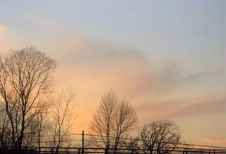 Image 8-1-19 at 3.31 PM (23).jpeg