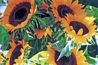 Image 8-1-19 at 3.31 PM (25).jpeg