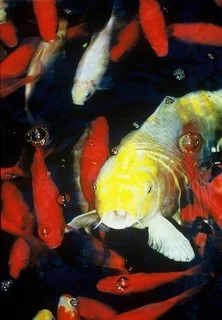 Image 8-1-19 at 3.31 PM (5).jpeg