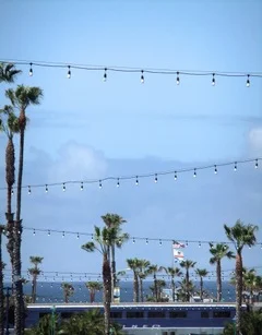 Image 8-1-19 at 3.31 PM (11).jpeg