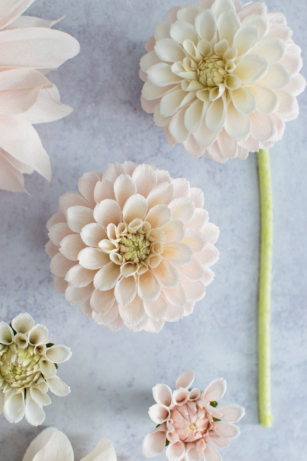 Dahlia-Sweet-Nathalie-Course-Thumbnail-for-course---Crafted-to-Bloom.jpg