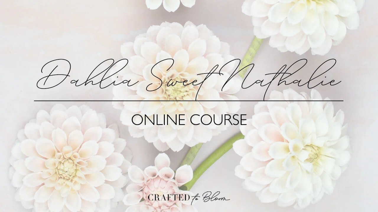 Online-Courses---Video-Thumbnail-Online-Course.jpg