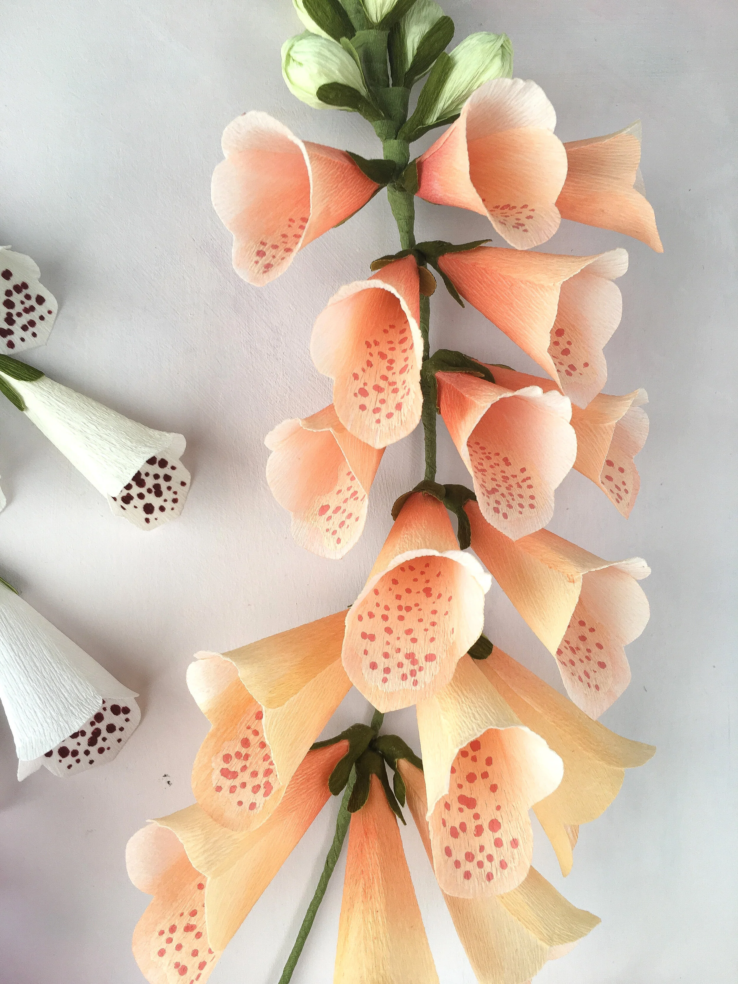 Peach foxglove by Crafted to Bloom copy 2.jpg
