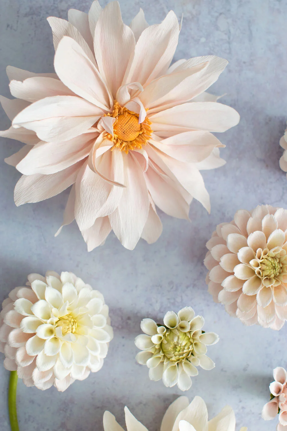 20 Wall Flowers Included 3 Steps Payment For Online Course For Paper Florists By Sydneypaperflowers And Paperprotutorials Scrapbooking Papercraft