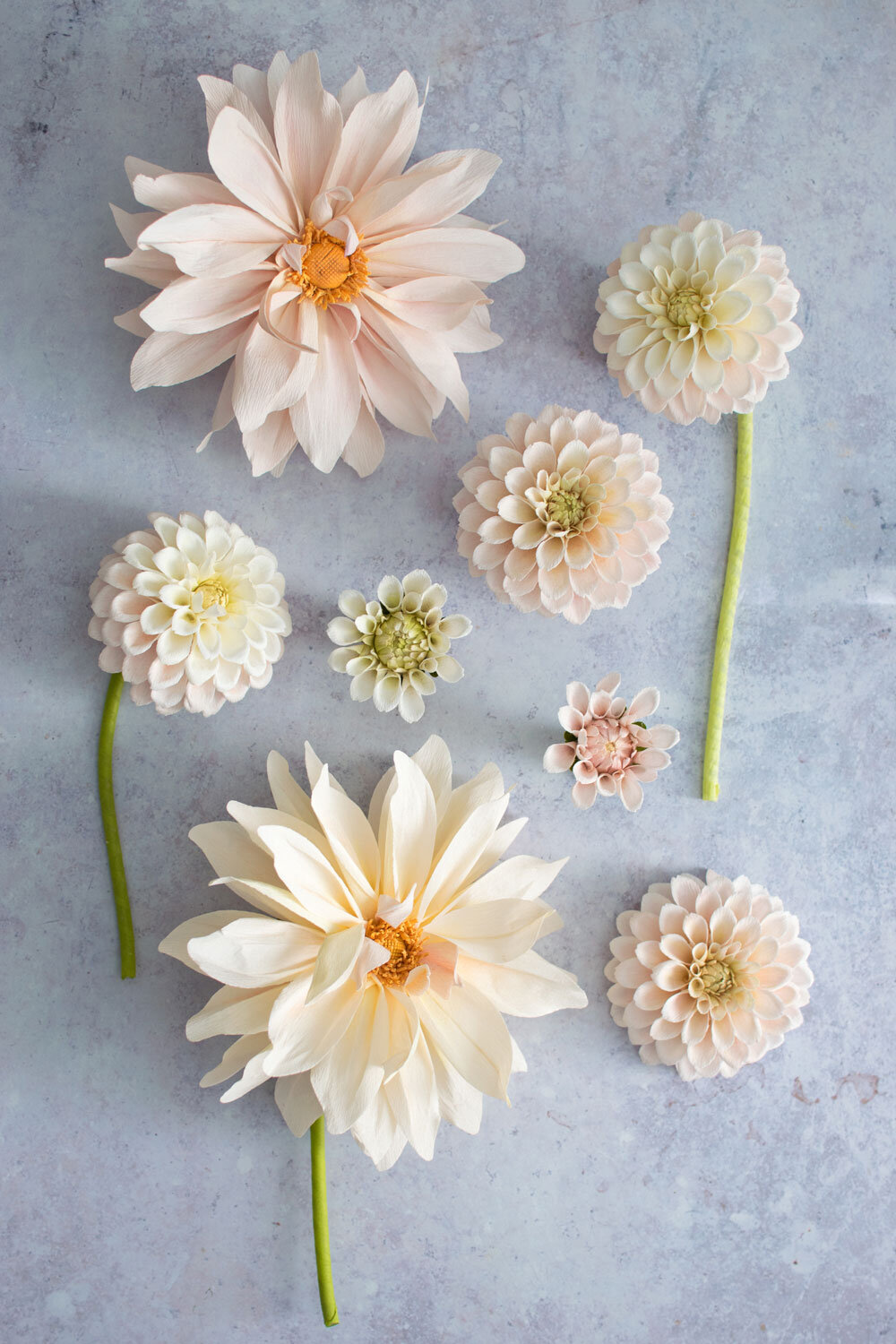 Cafe Au Lait Dahlia Paper Flower Online Course Crafted To Bloom