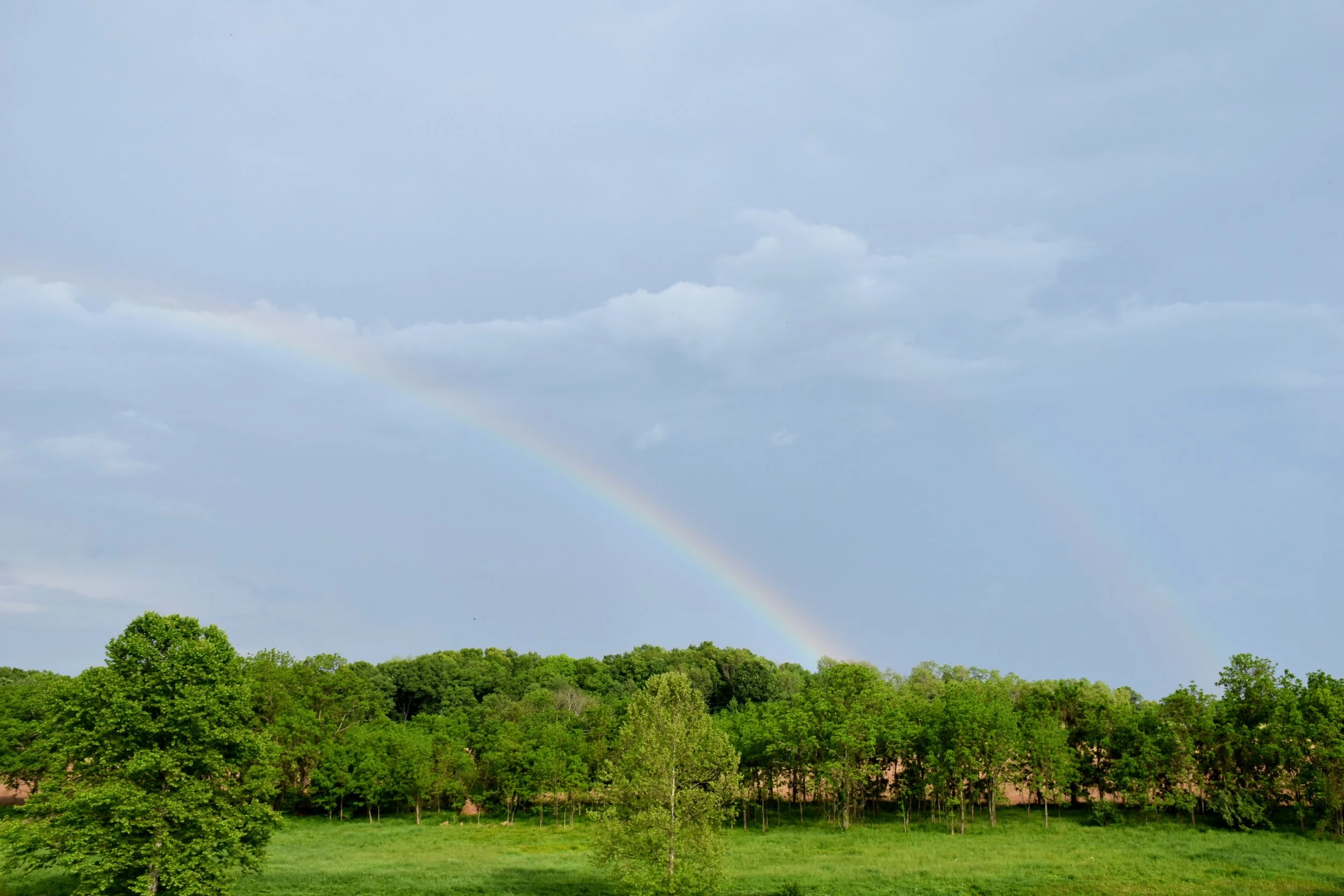 DSC_0413.JPG
