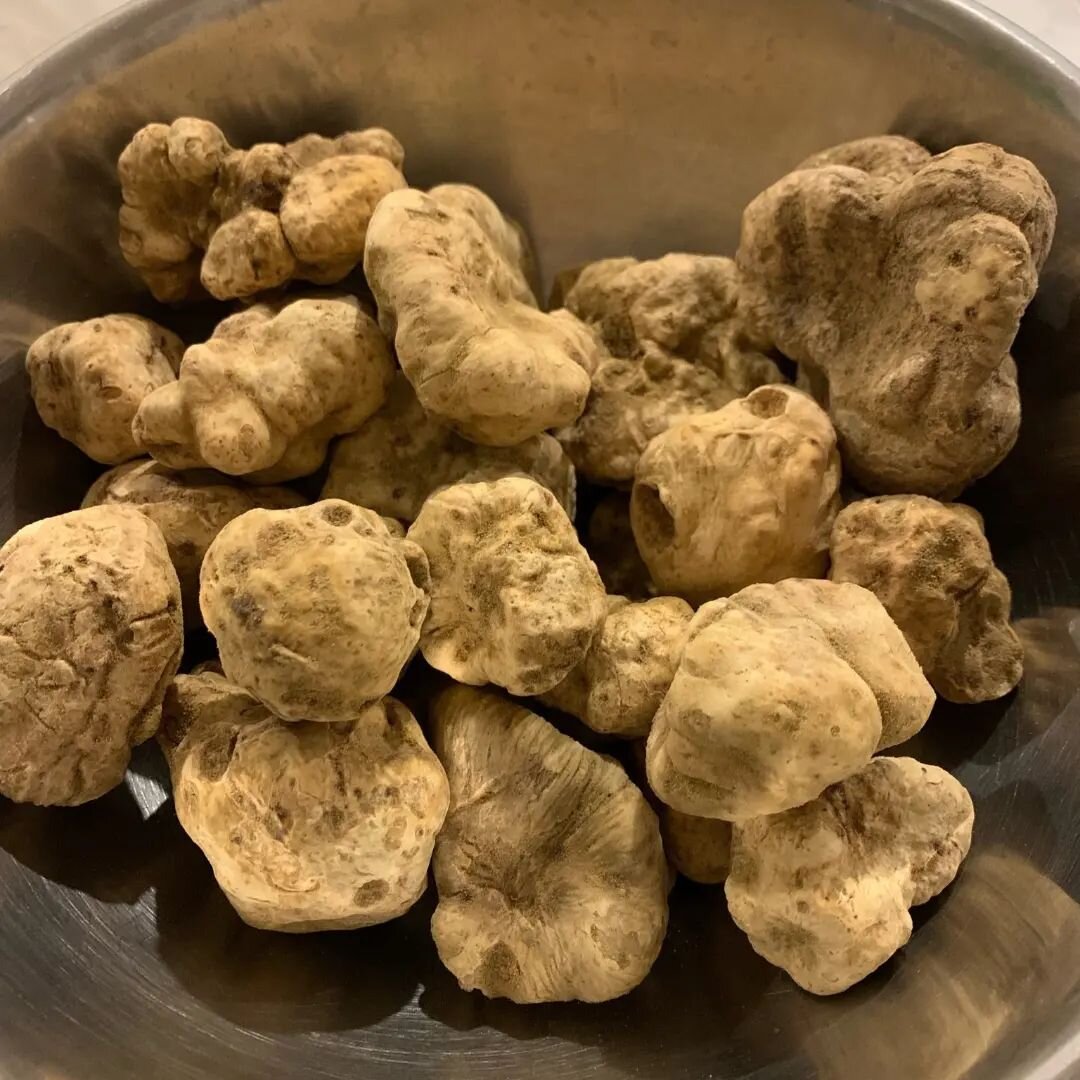 🍄🔥GET YOUR TRUFFLES🔥🍄

Hey y'all, we're getting more truffles in a couple of weeks, both black and the prized Alba white truffles. If you're interested in pricing, please DM us before Monday 12/12.

Min orders of $60, local delivery only