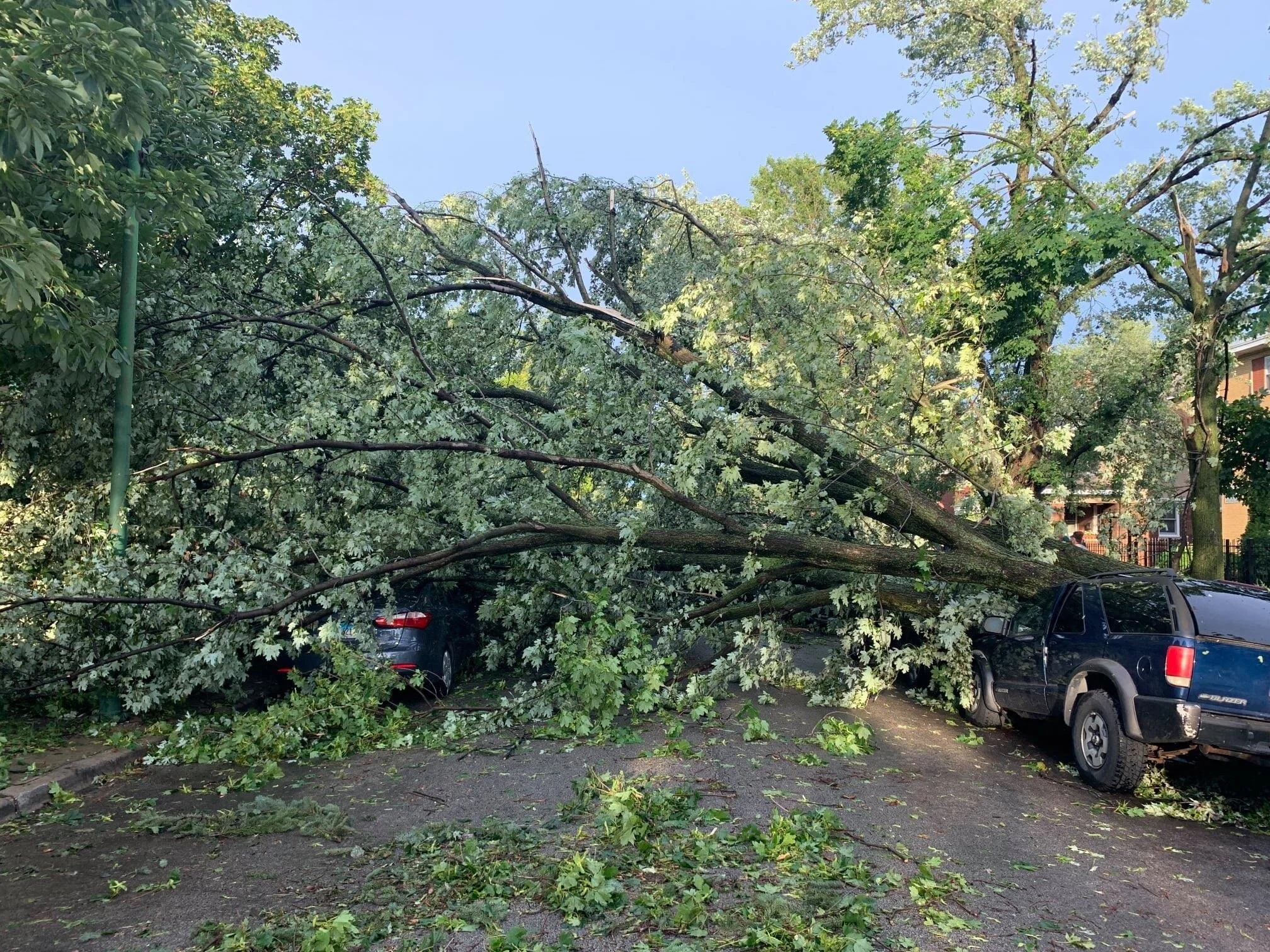 Easy and Effective Ways you can Support Artists during Disaster Recovery