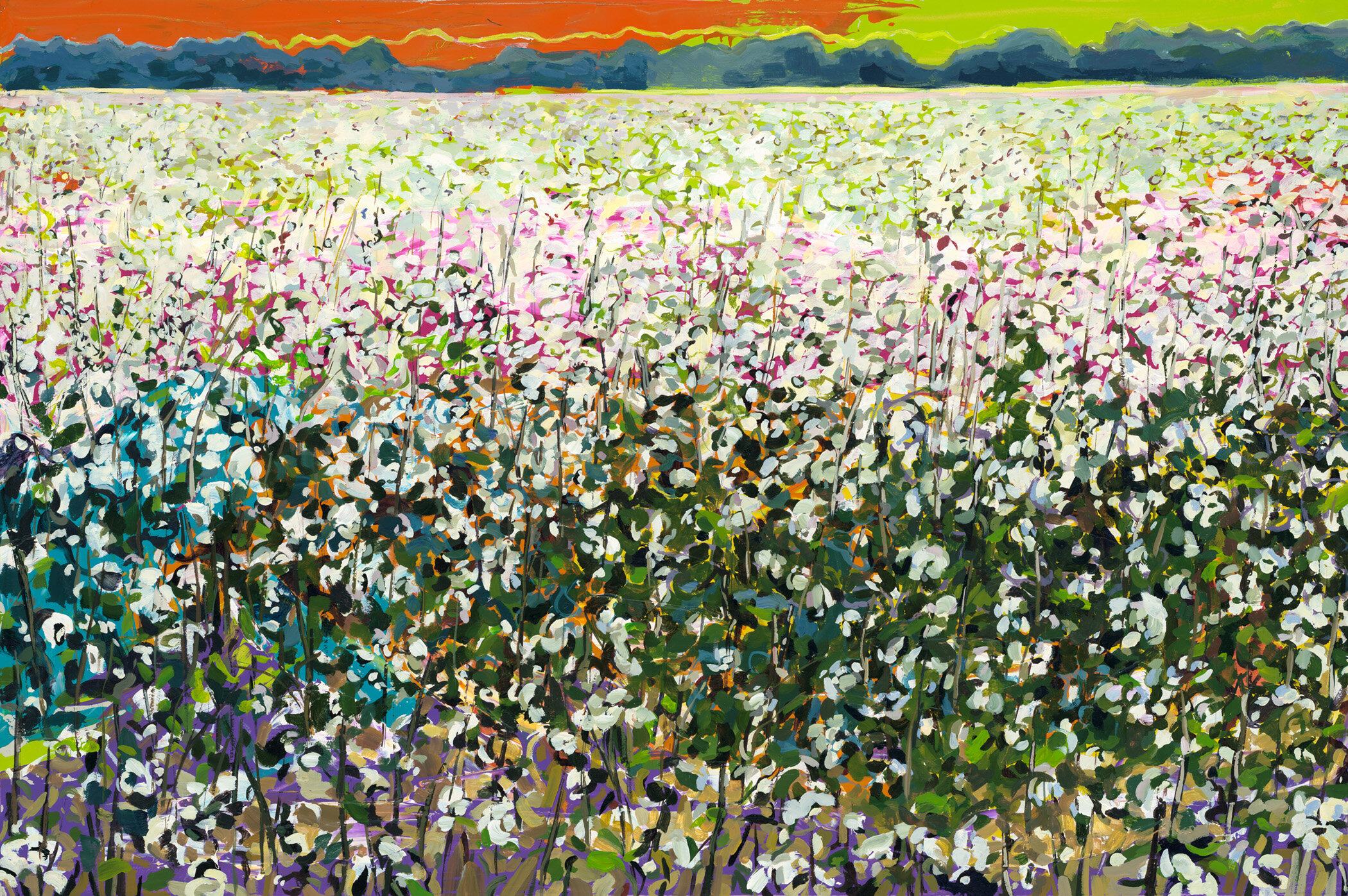 painting of cotton in Mississippi Delta