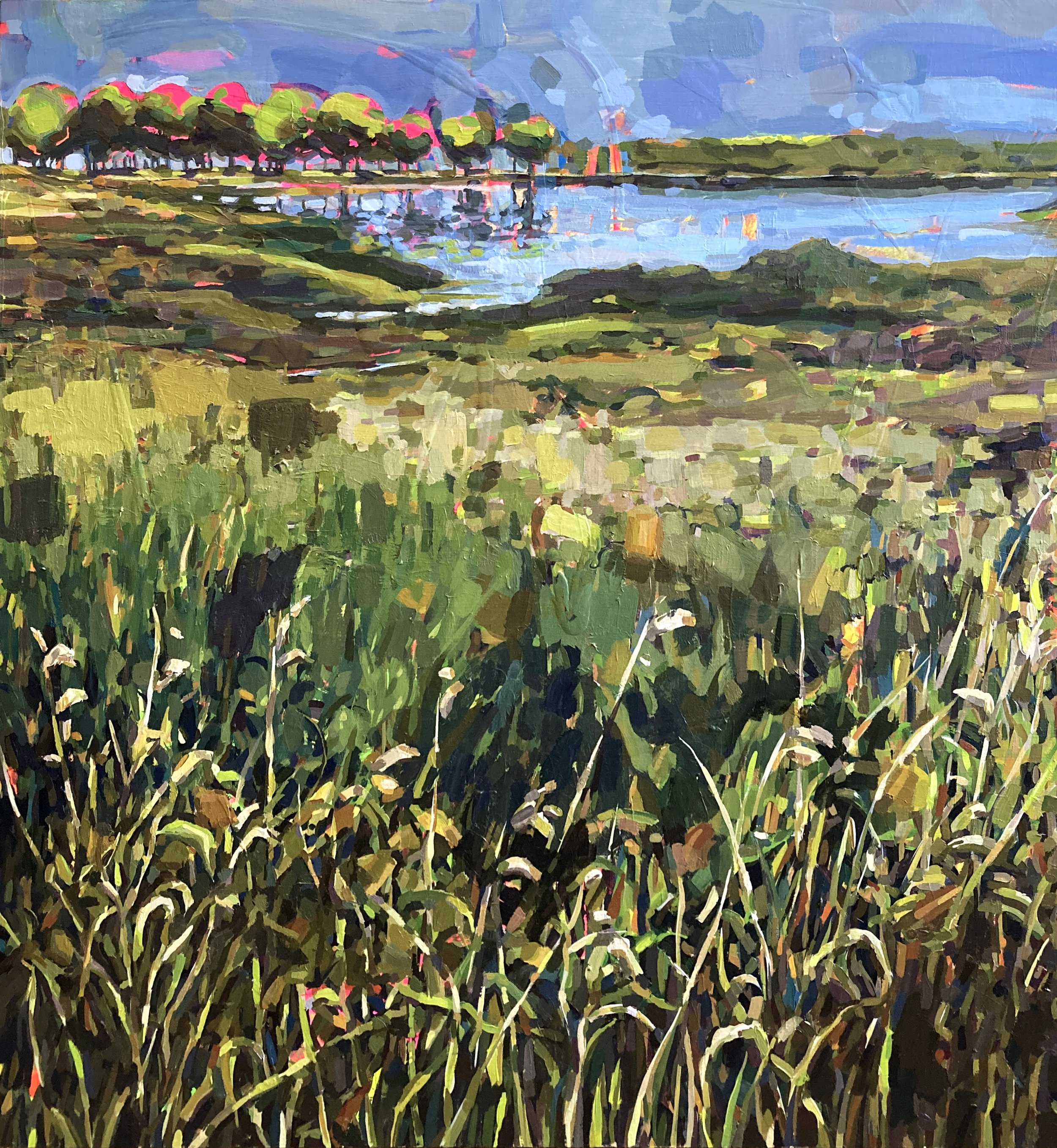 To encourage and celebrate these wins, the Rathbun Land & Water Alliance created the Rathbun Lake Protector program to recognize local residents for adopting powerful conservation practices, such as creating terraces, sediment control basins, co