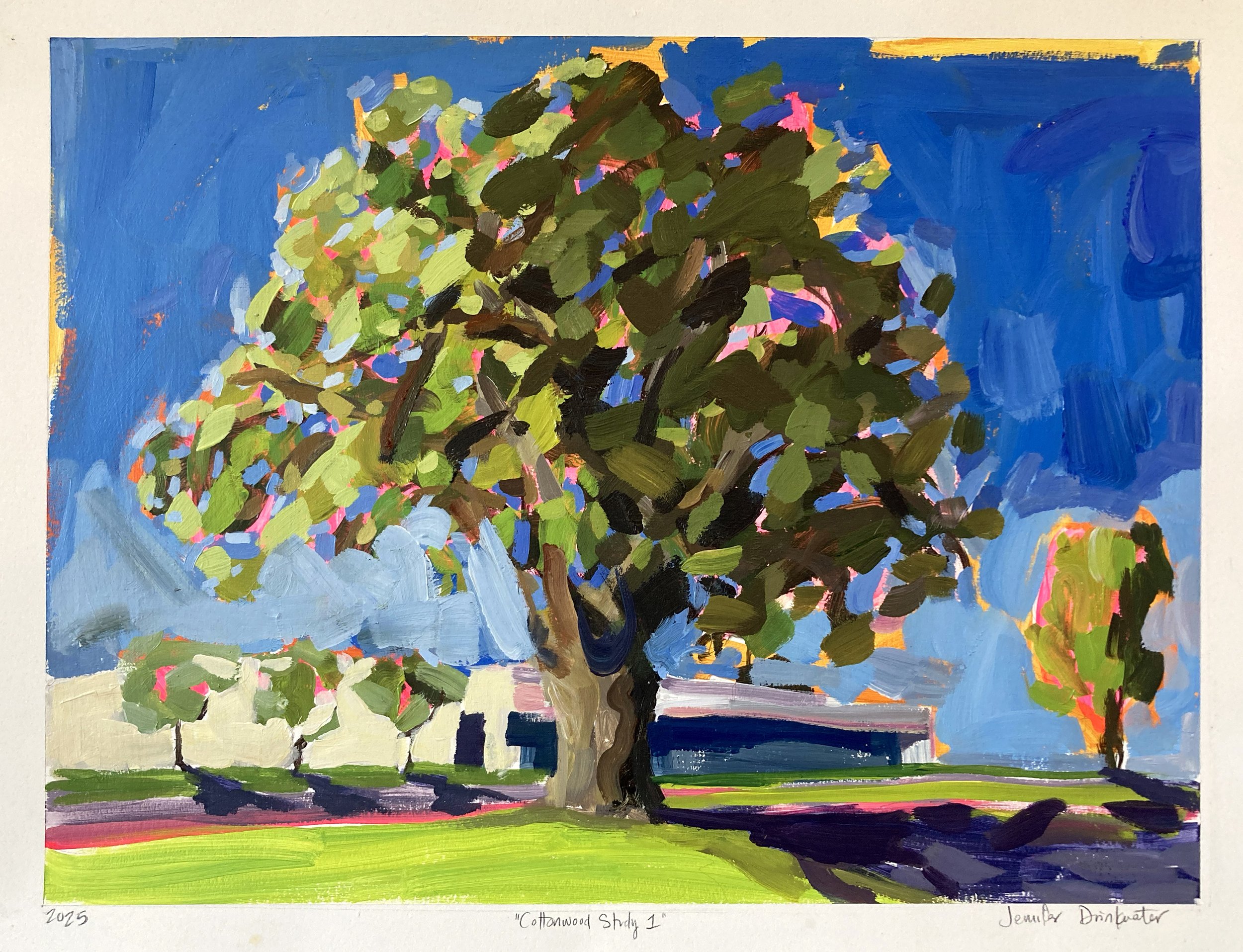 CottonwoodStudy1frame.jpg