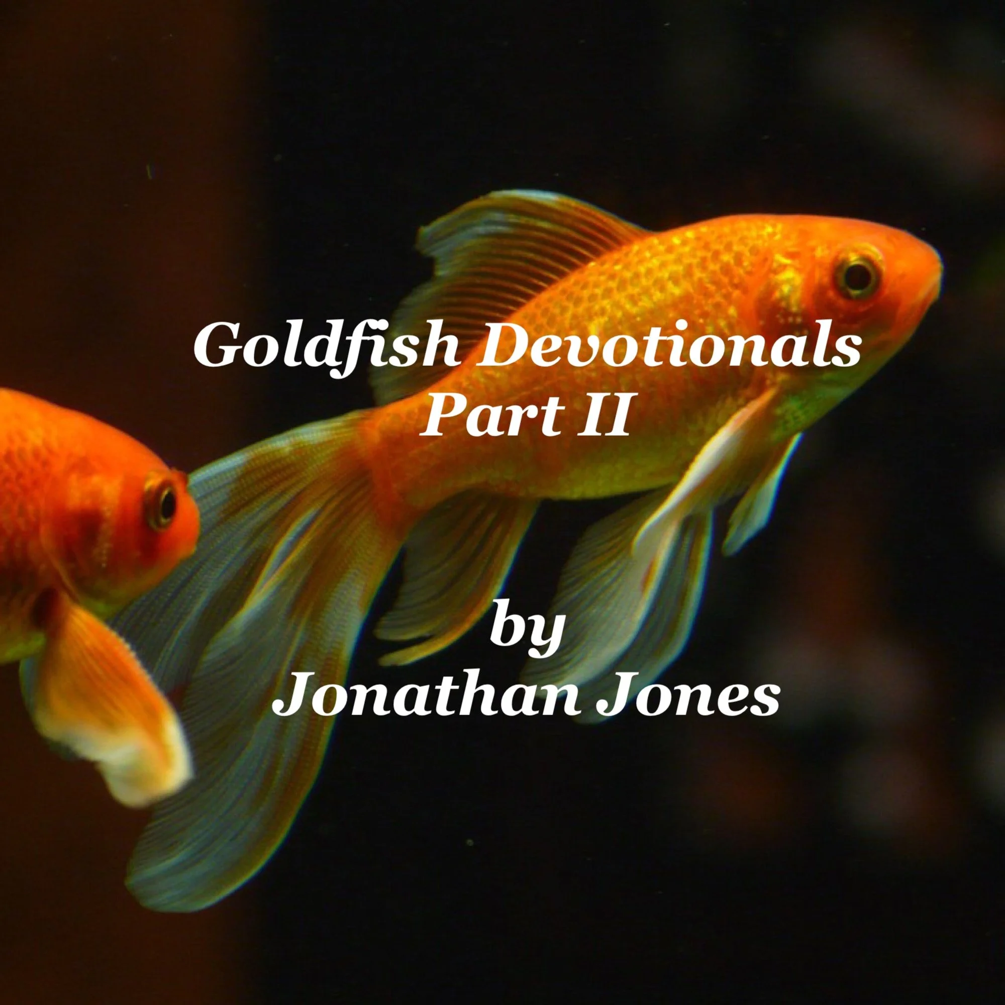 Goldfish devos II.JPG