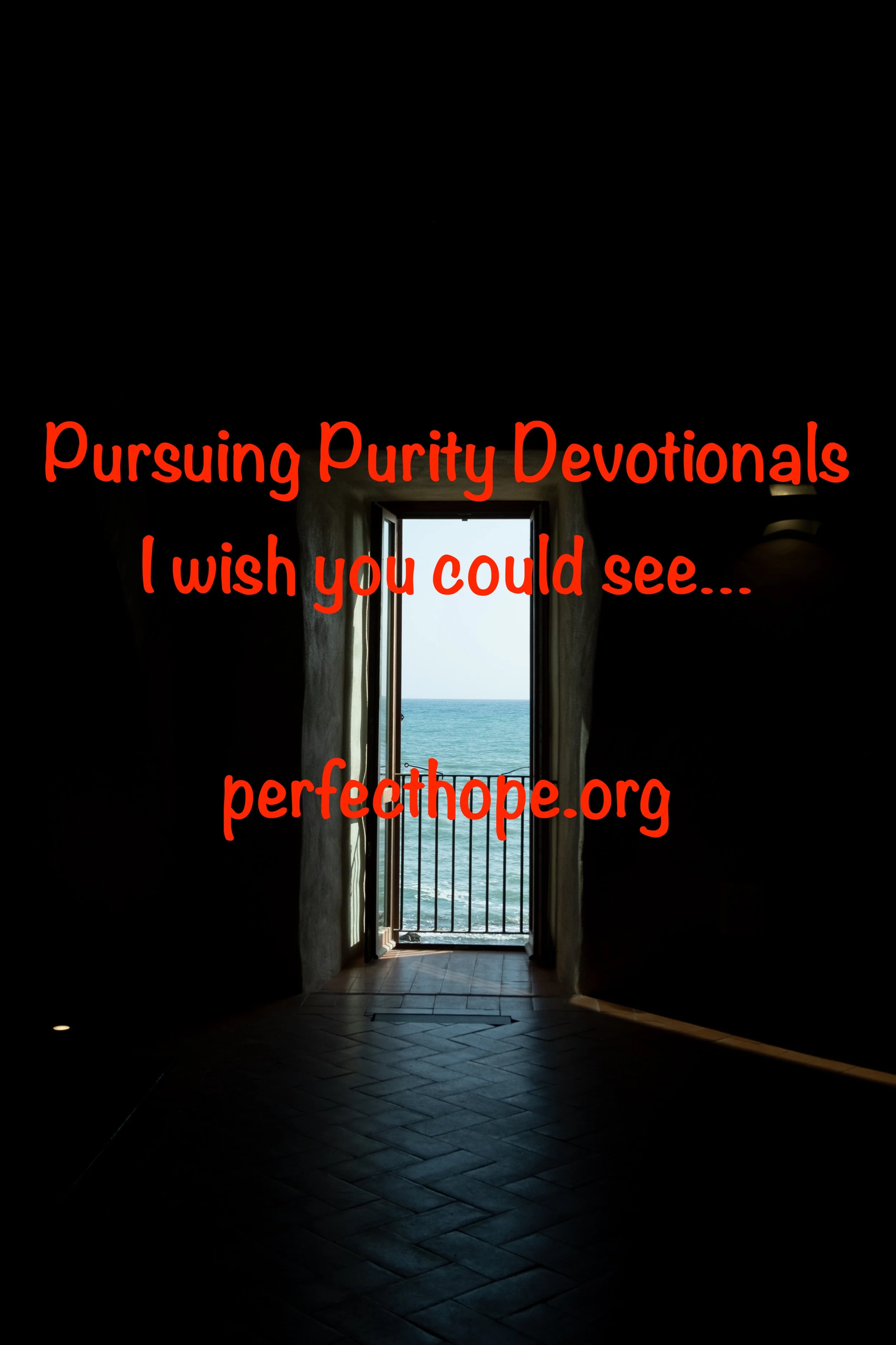 I wish you could see...