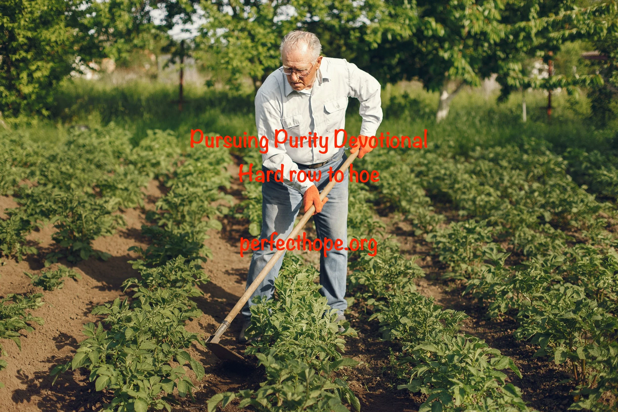 Hard row to hoe