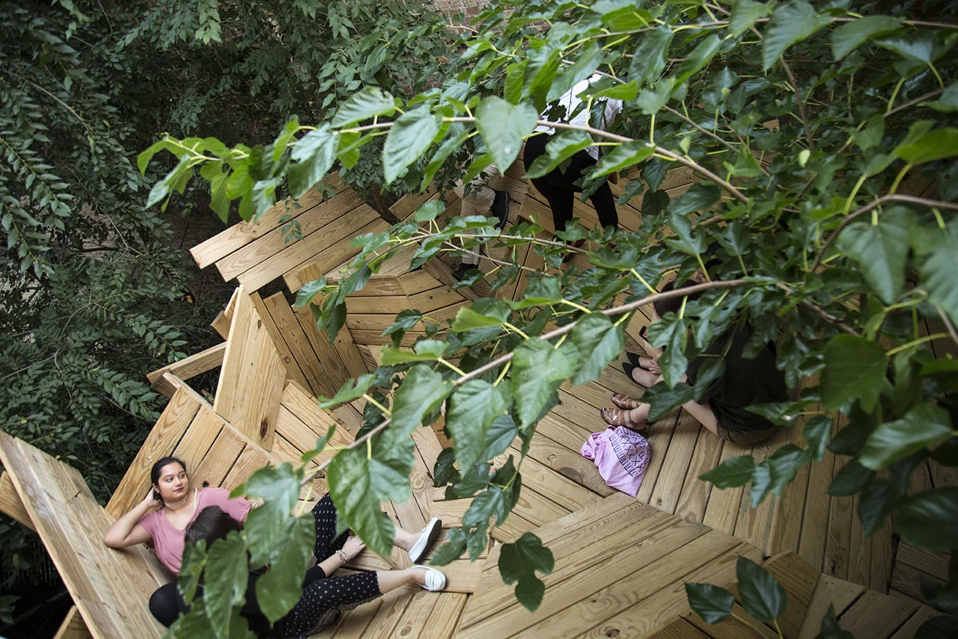 In Wood We Trust – Treehouse