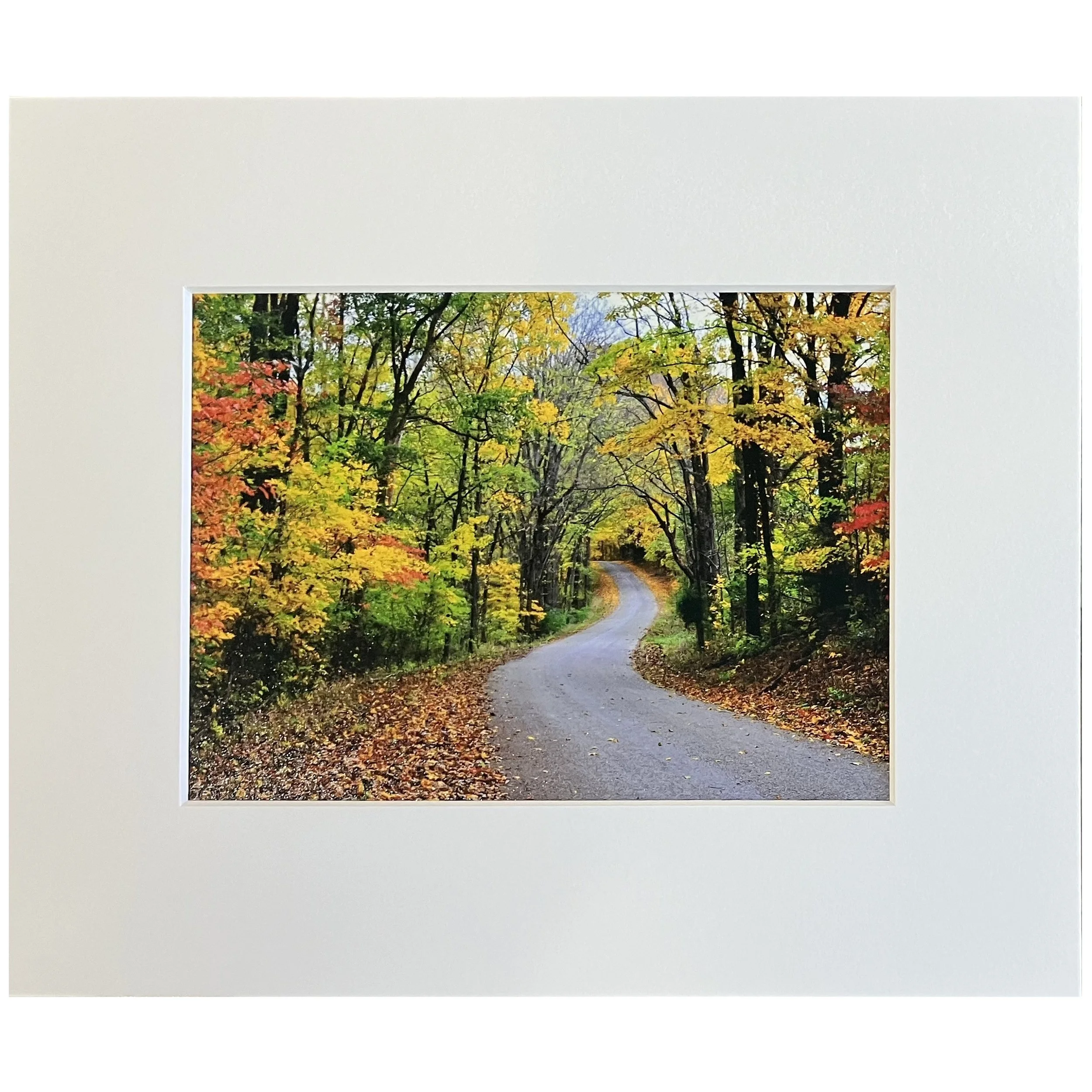 Joanna Tucker - 300 North in Autumn.jpg
