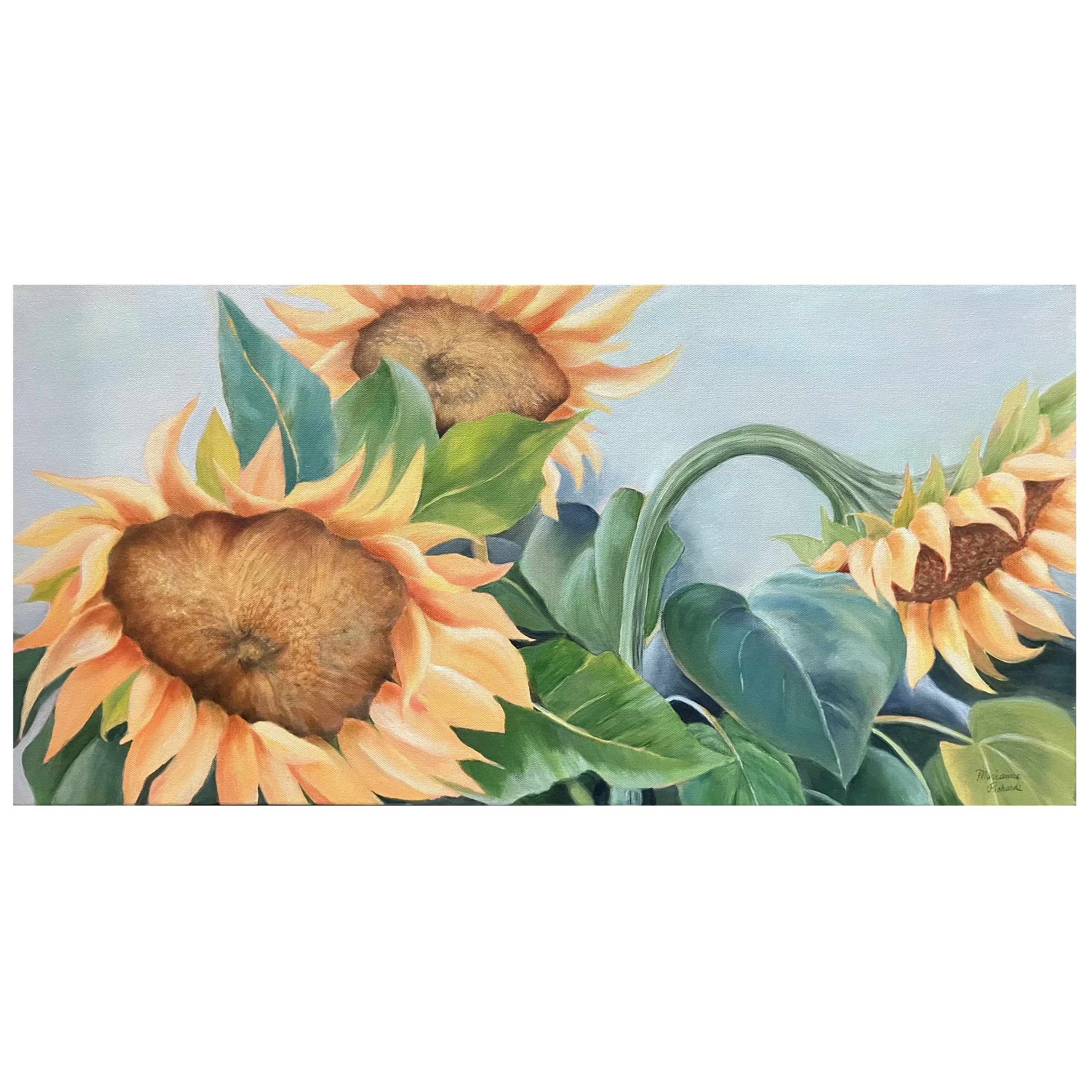 Marianna Richards - Sunny Day.jpg