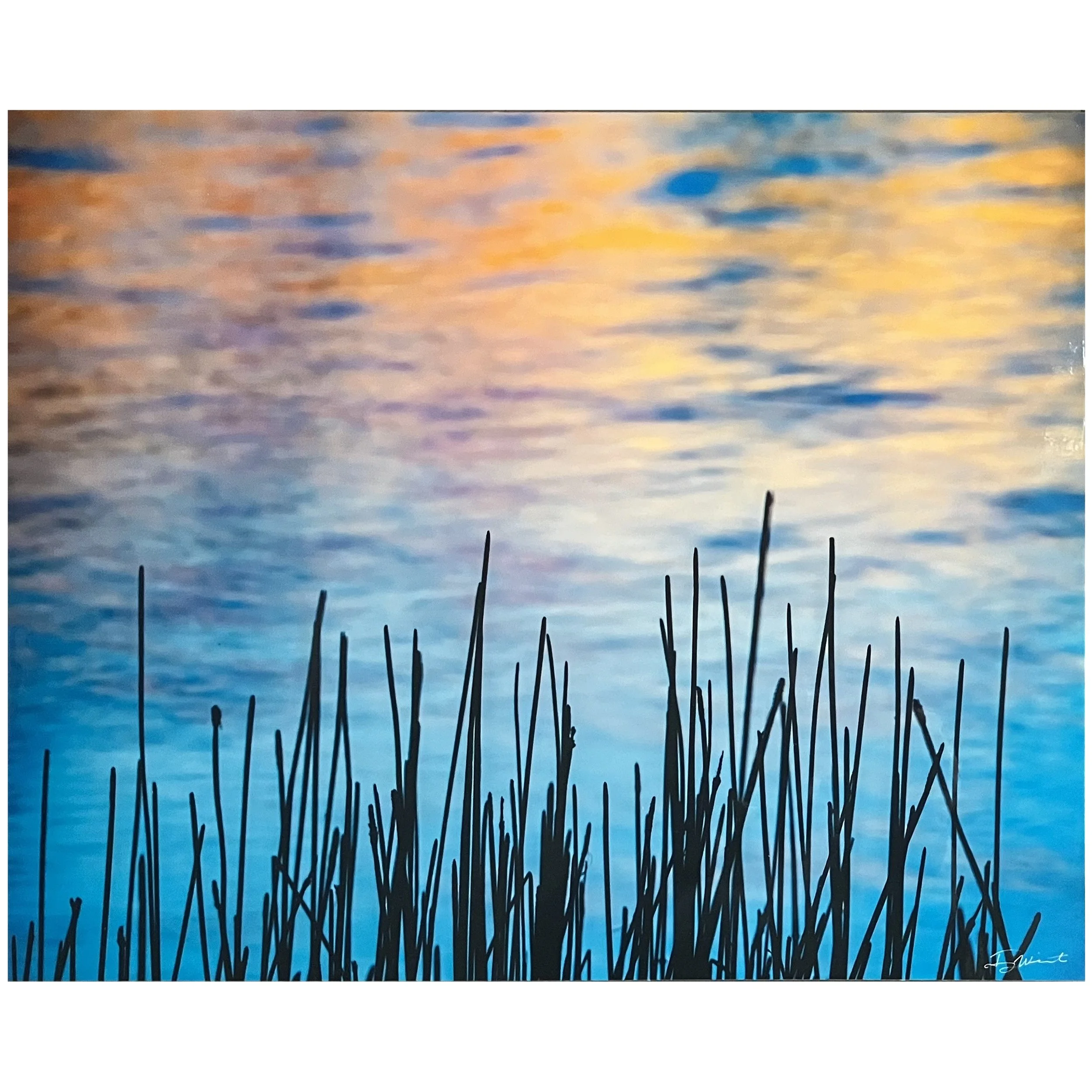 Terry Wieckert - Silhouetted Reeds.jpg