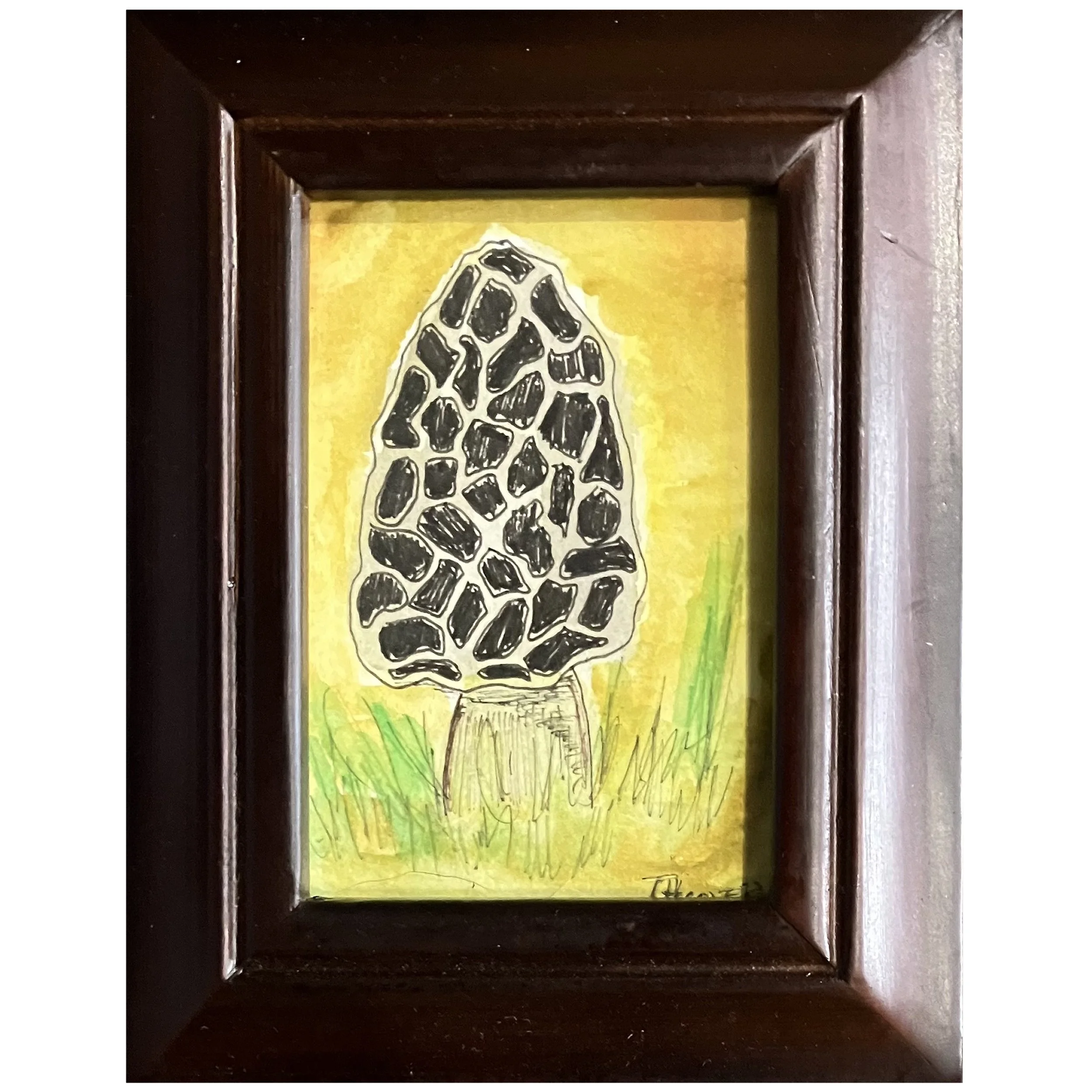 Morel at Sunrise