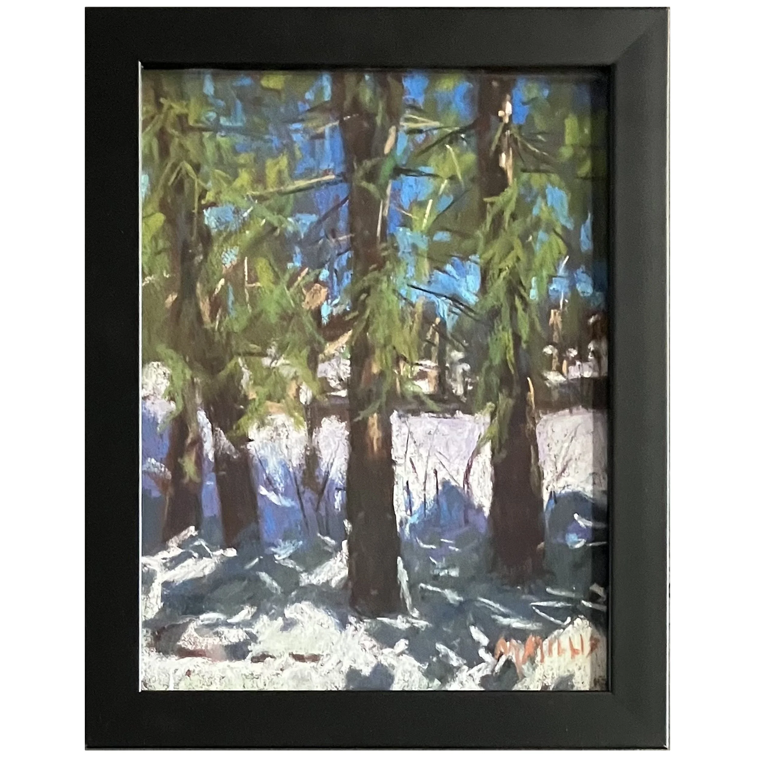 Mark Millis - Pine Trees Near Home.jpg