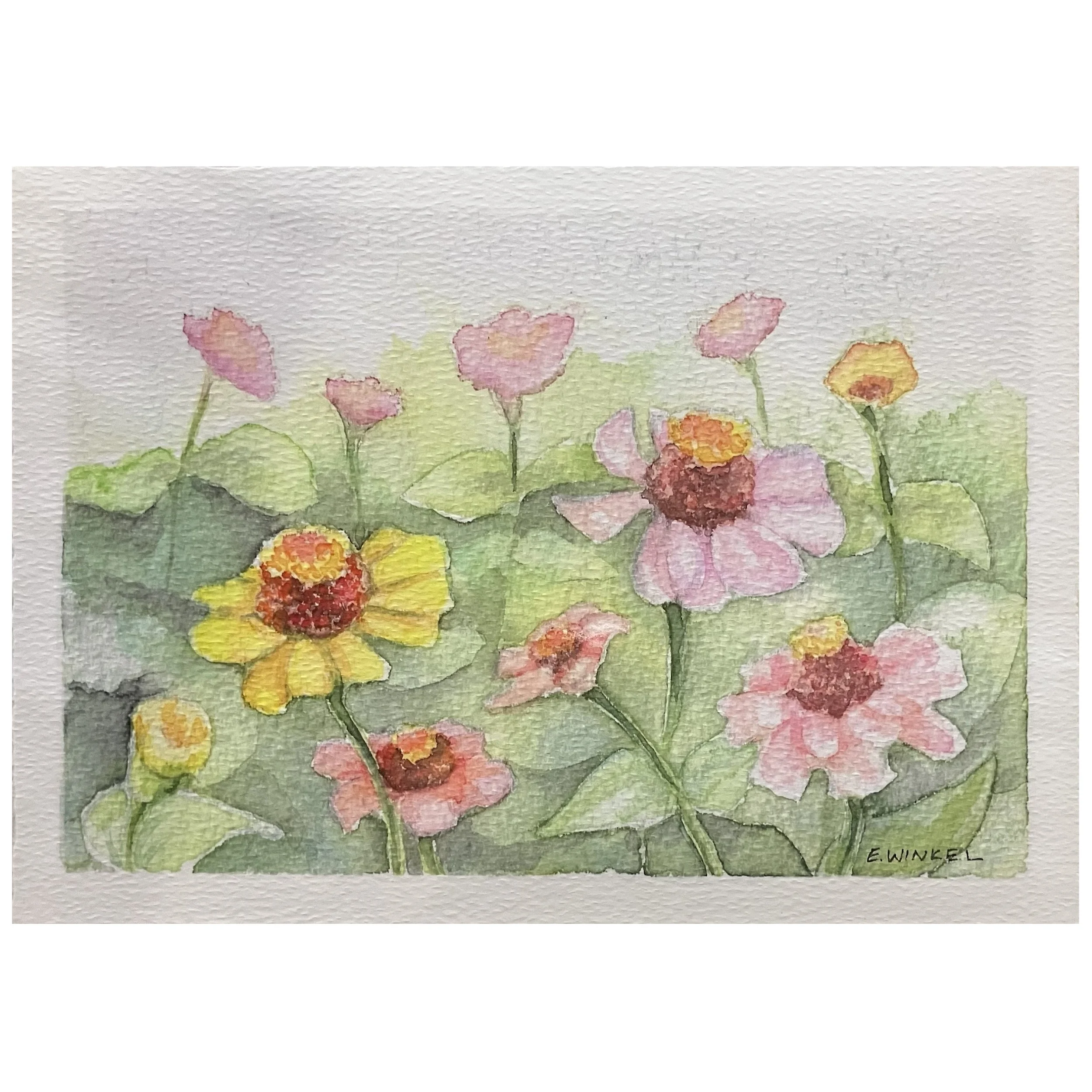 Emily Winkel - Zinnias Print.jpg