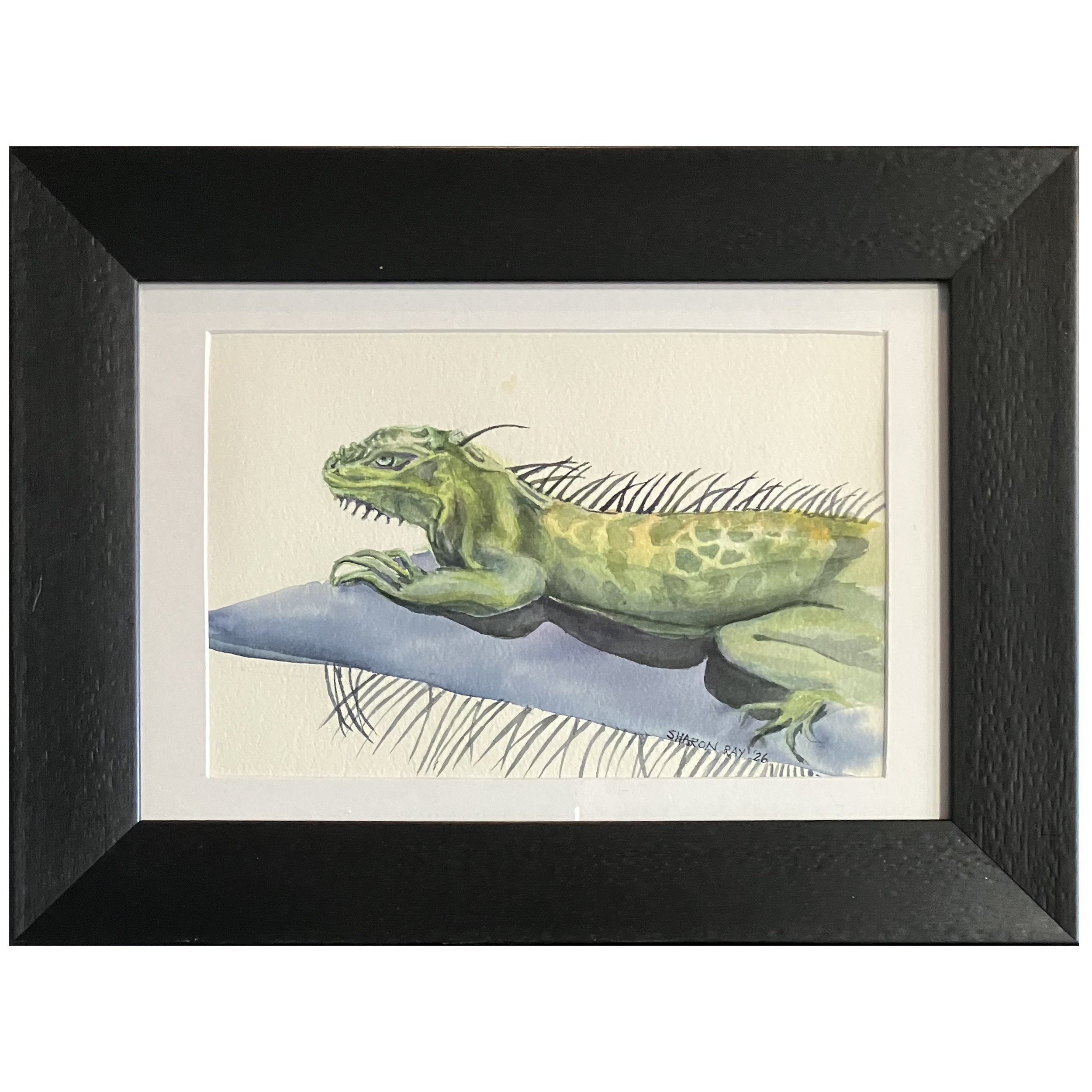 Iguana
