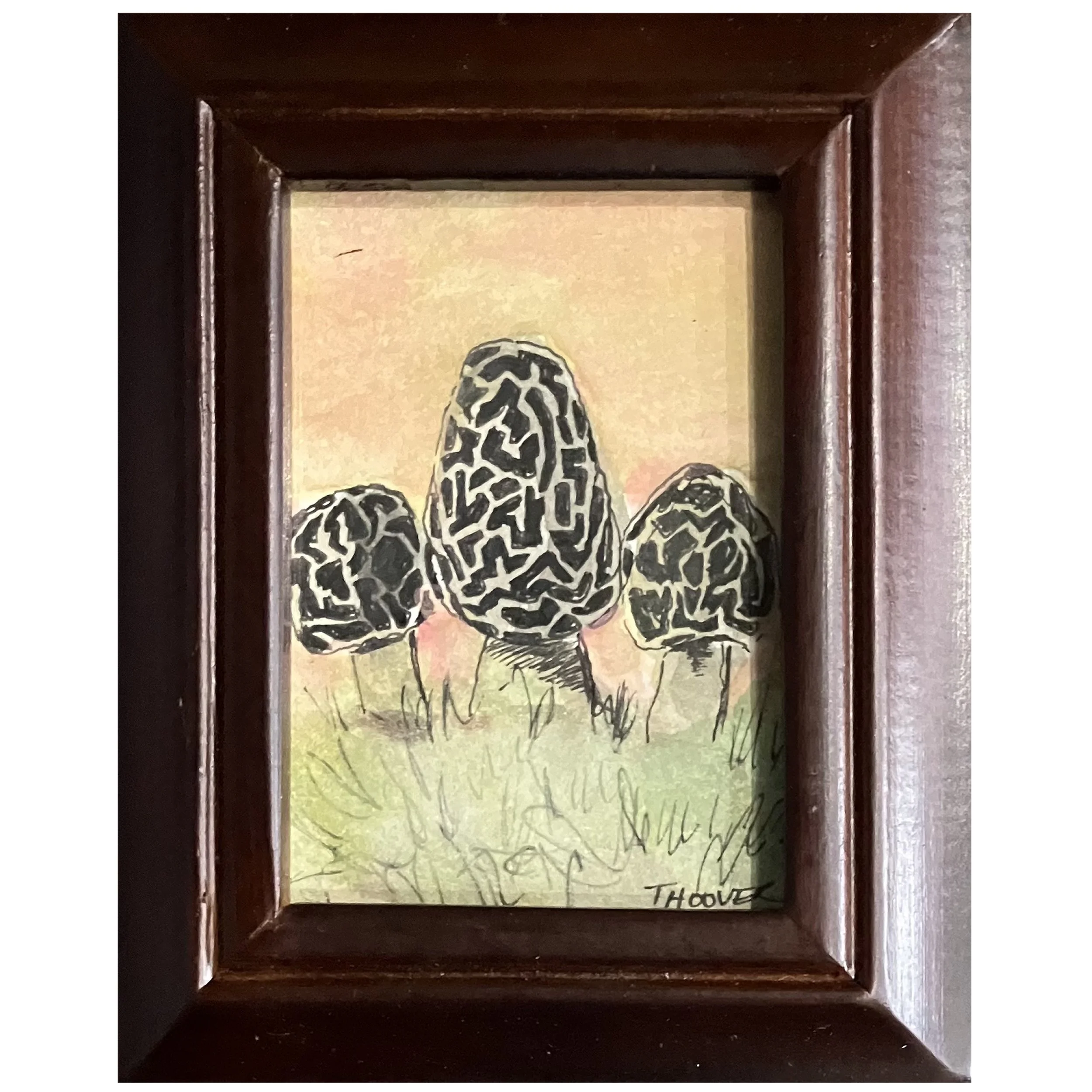 Morel Triplets