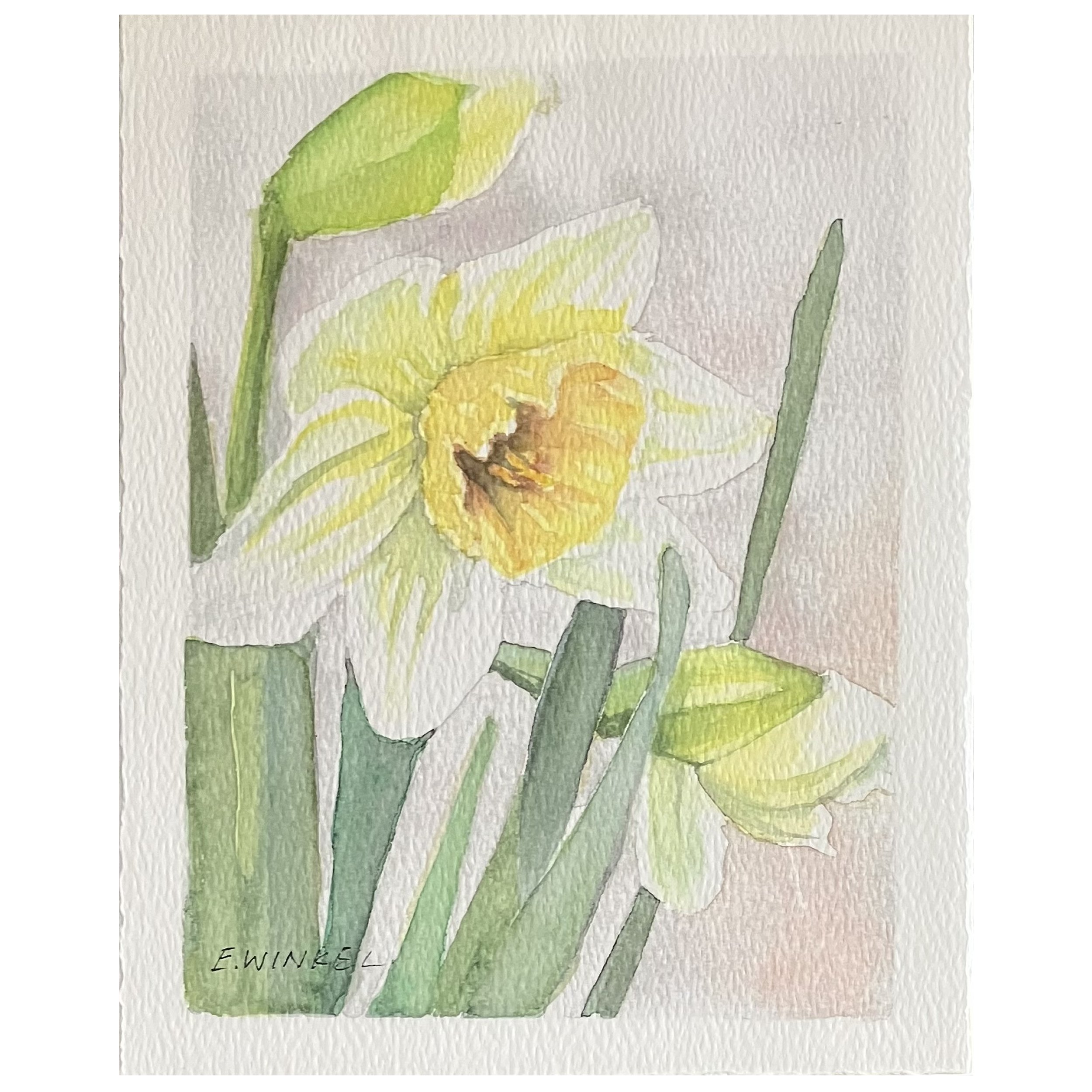 Emily Winkel - Daffodil Print.jpg