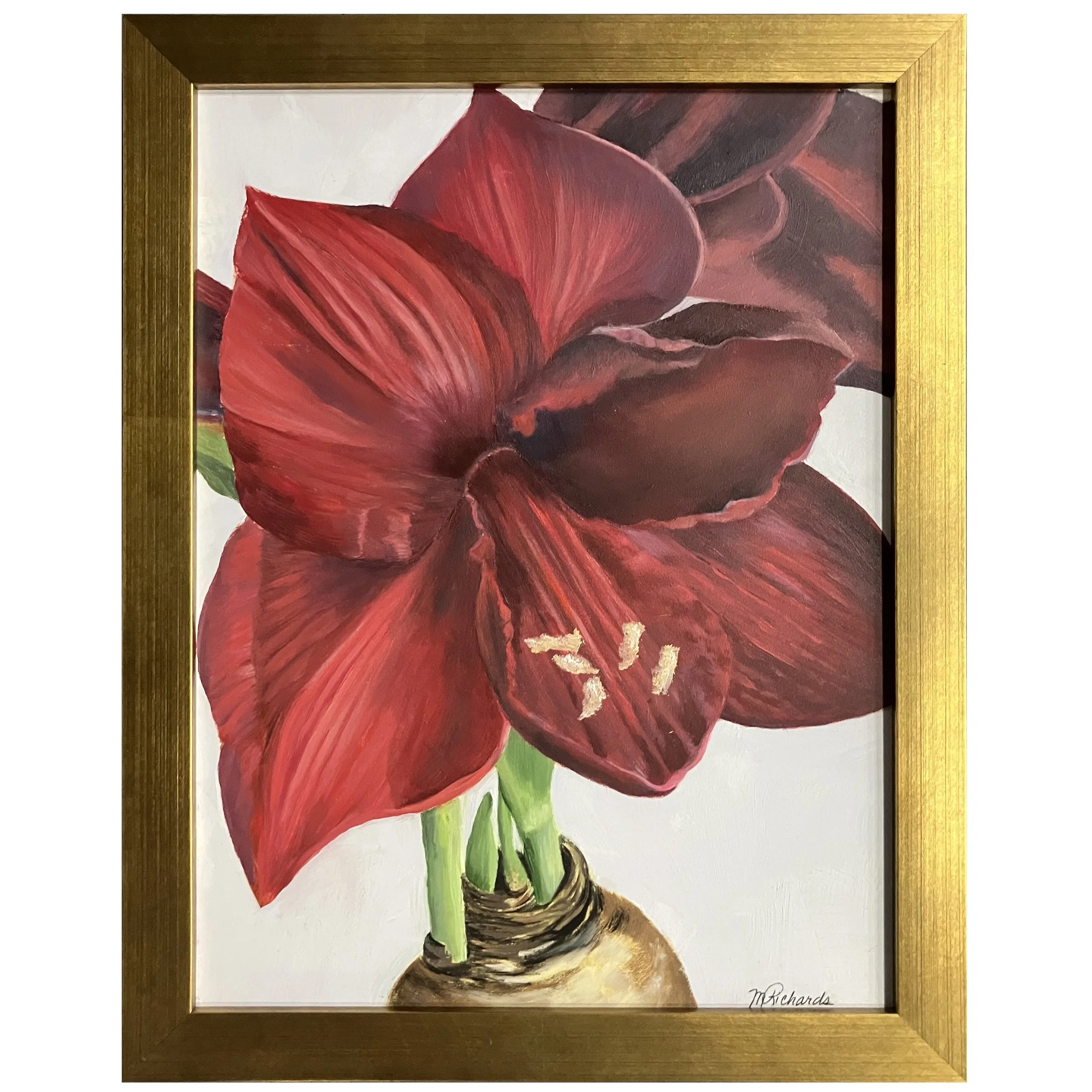 Marianna Richards - Holiday Amaryllis.jpg
