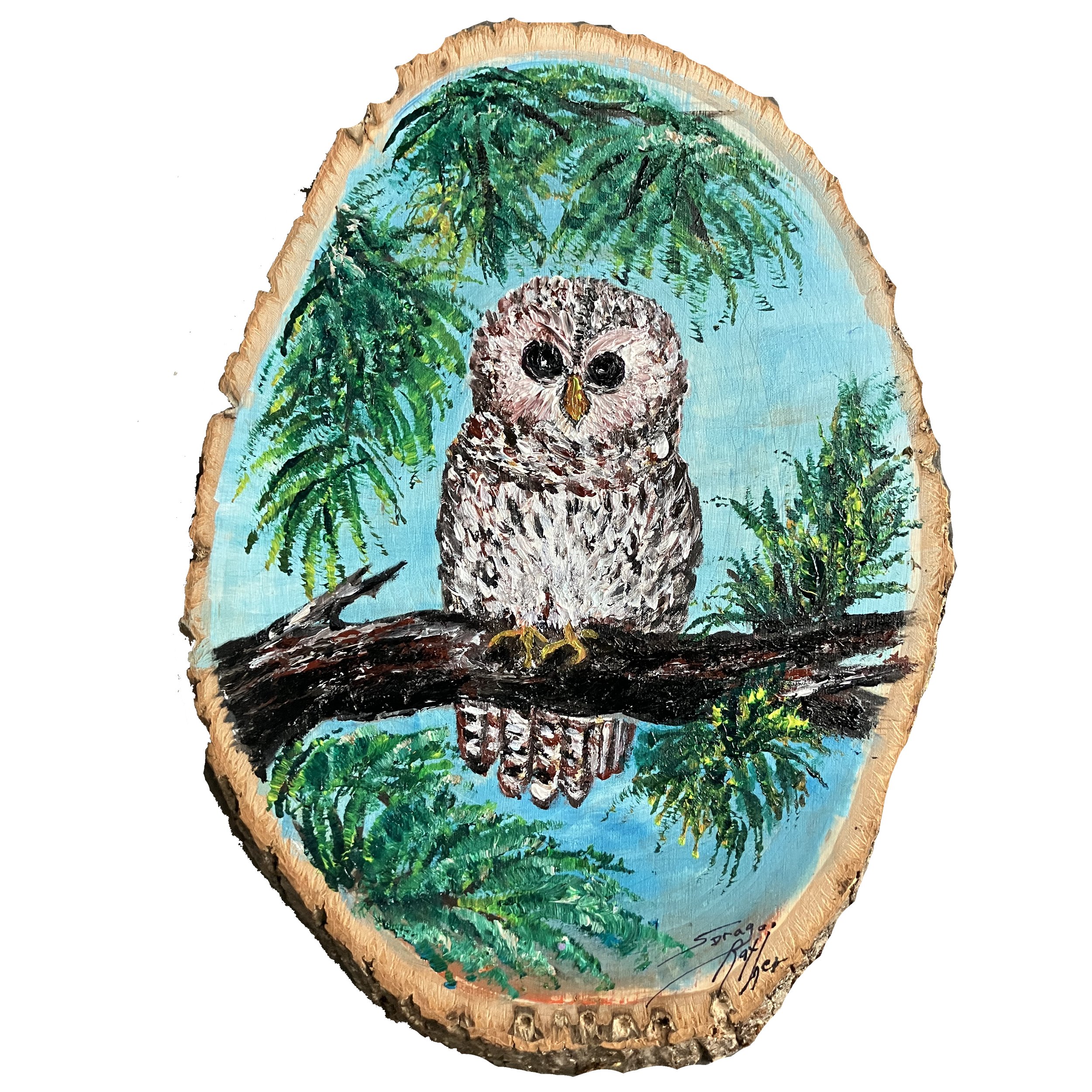 Sara Rather - Owl.jpg