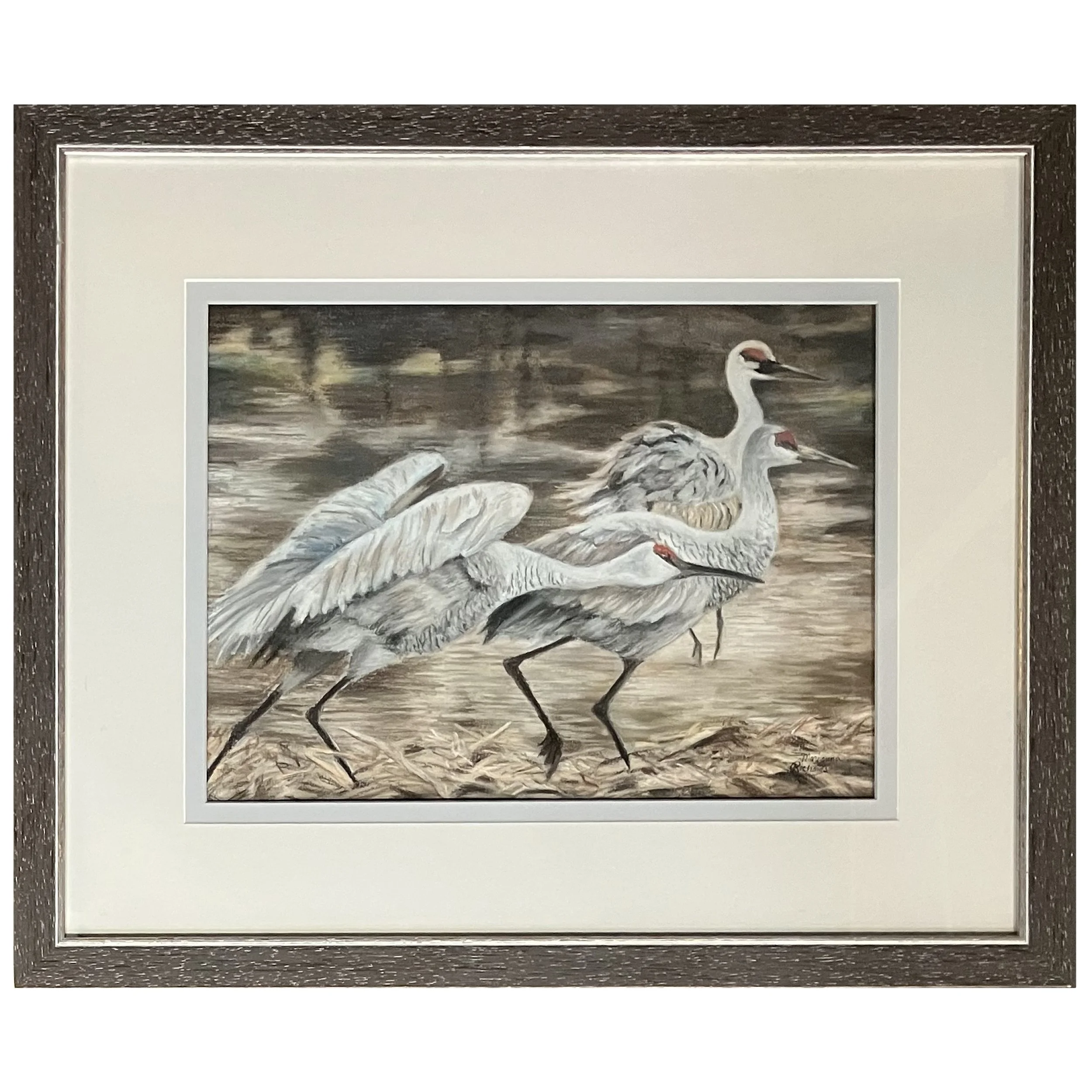 Marianna Richards - Sandhill Cranes.jpg
