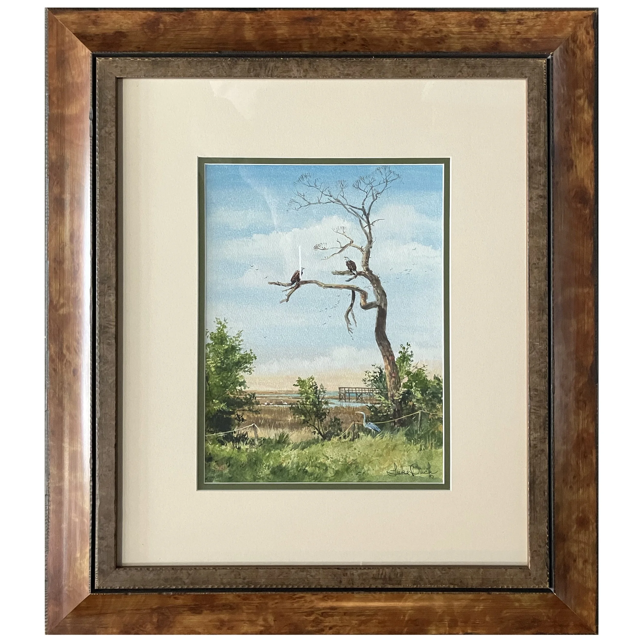 Luke Buck - The Tree on the Bay.jpg