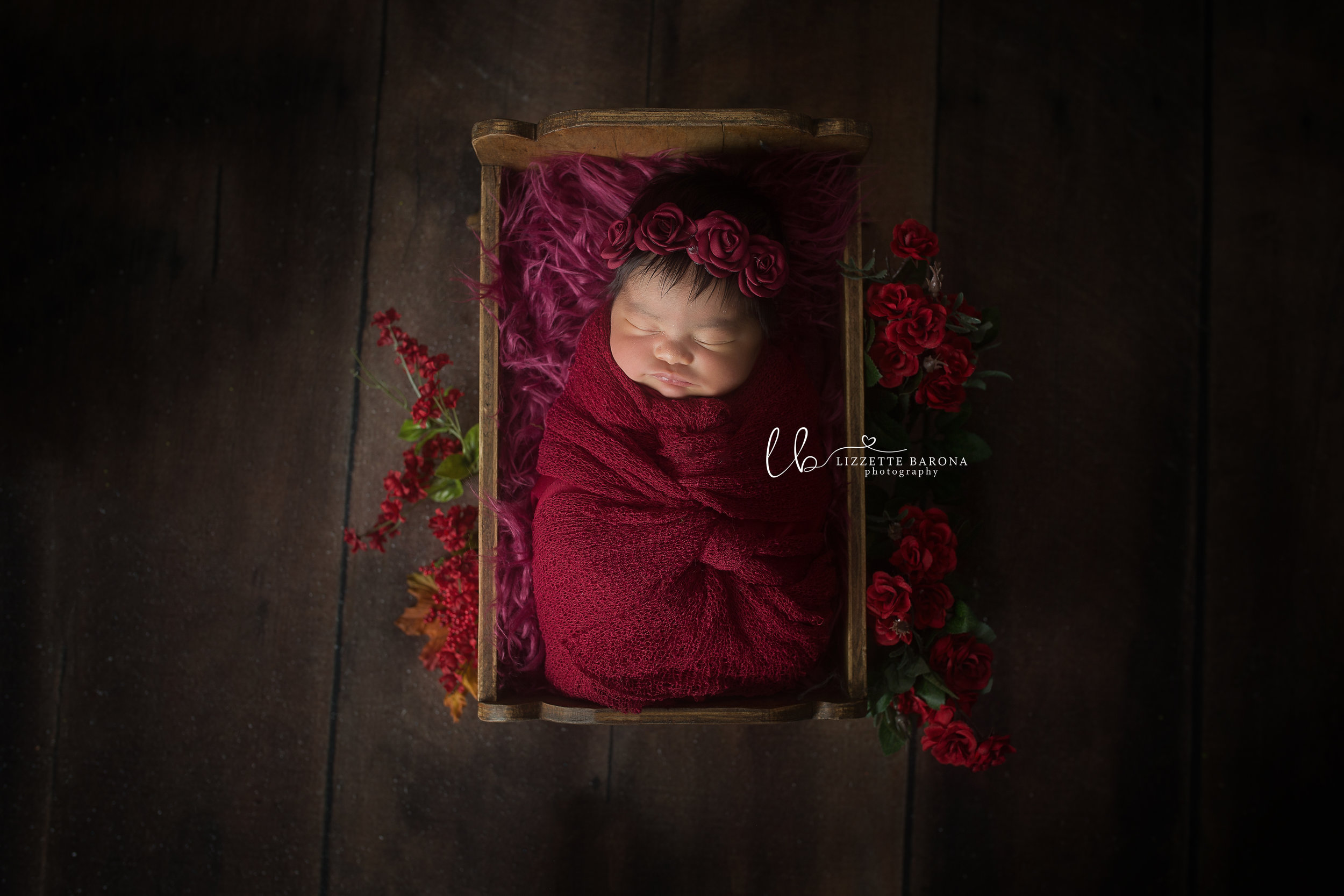 lizzette barona photography newborn photographer elizabeth nj .jpg