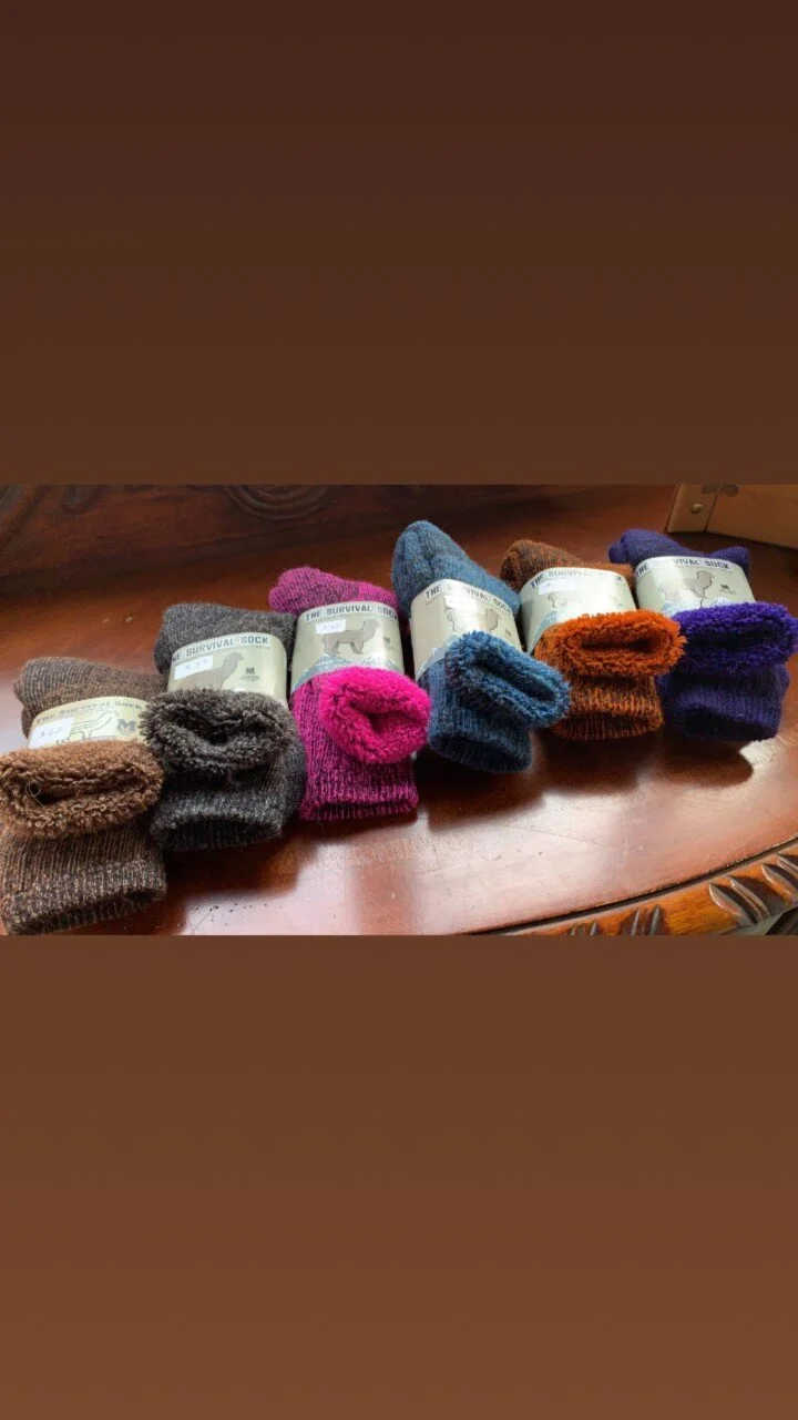 Alpaca Survival Socks BOLD COLORS