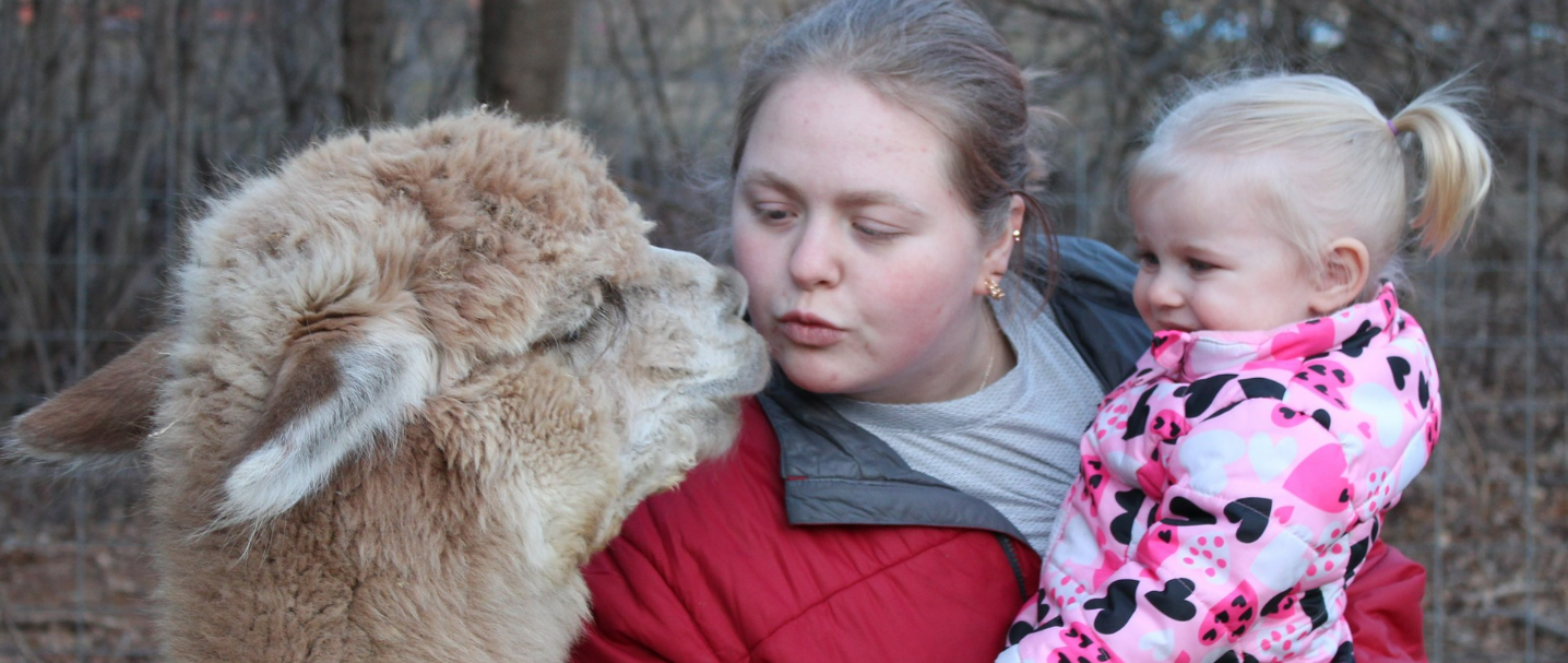 alpacakisses.PNG