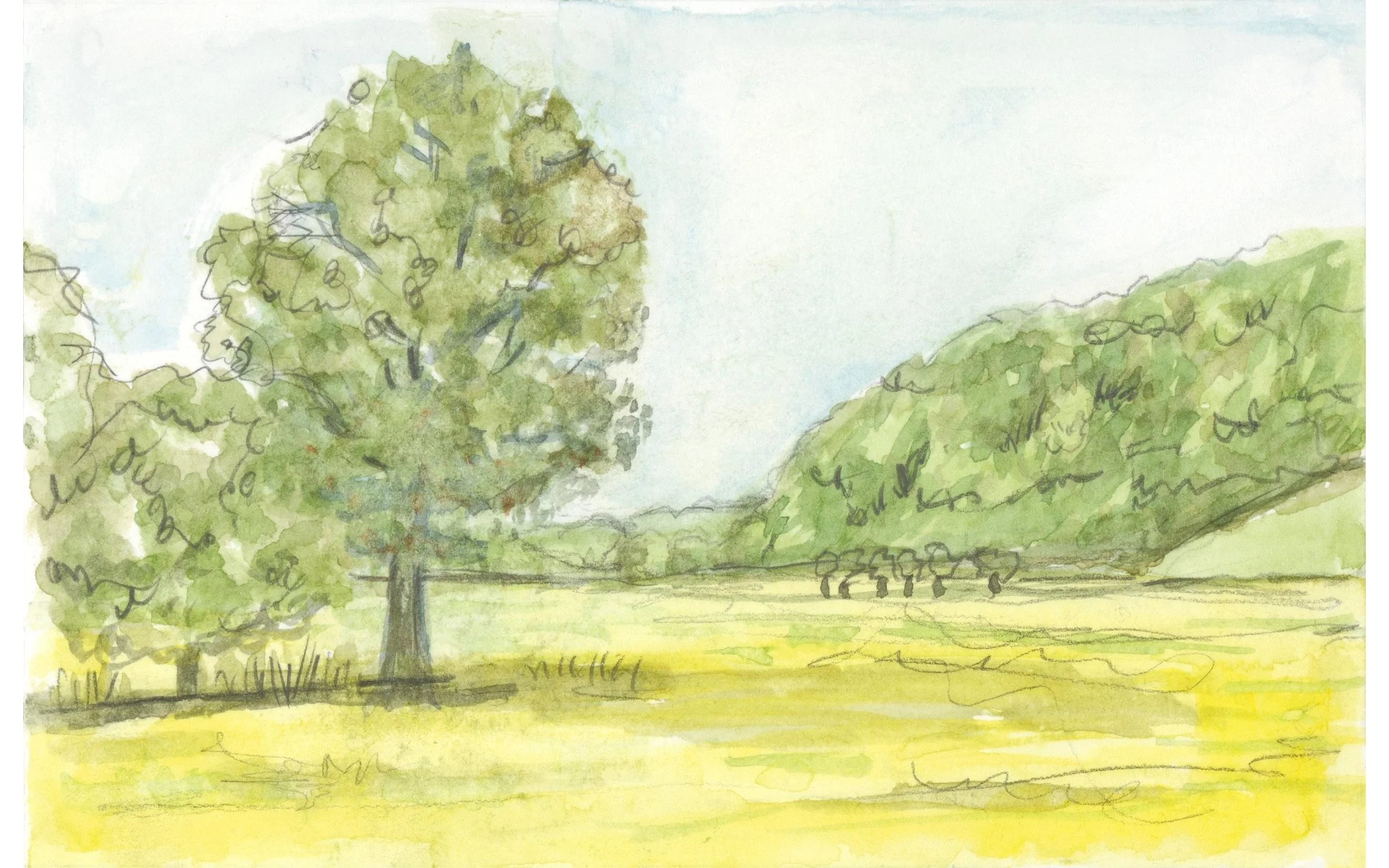 Untitled design (2).jpg