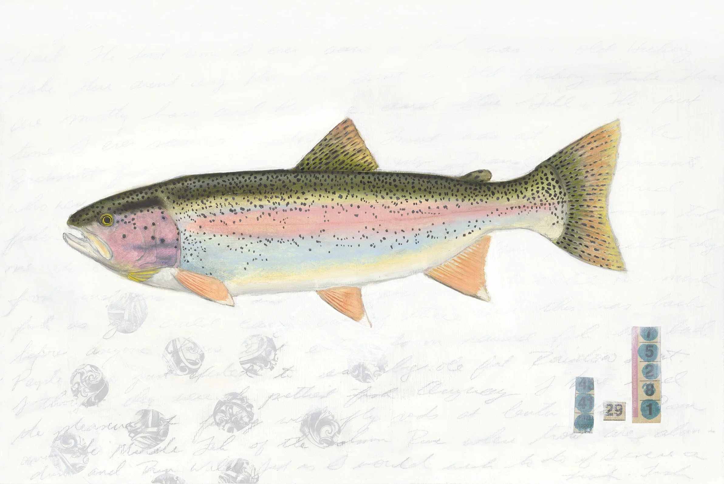 Rainbow+Trout+Grey+Dot.jpg