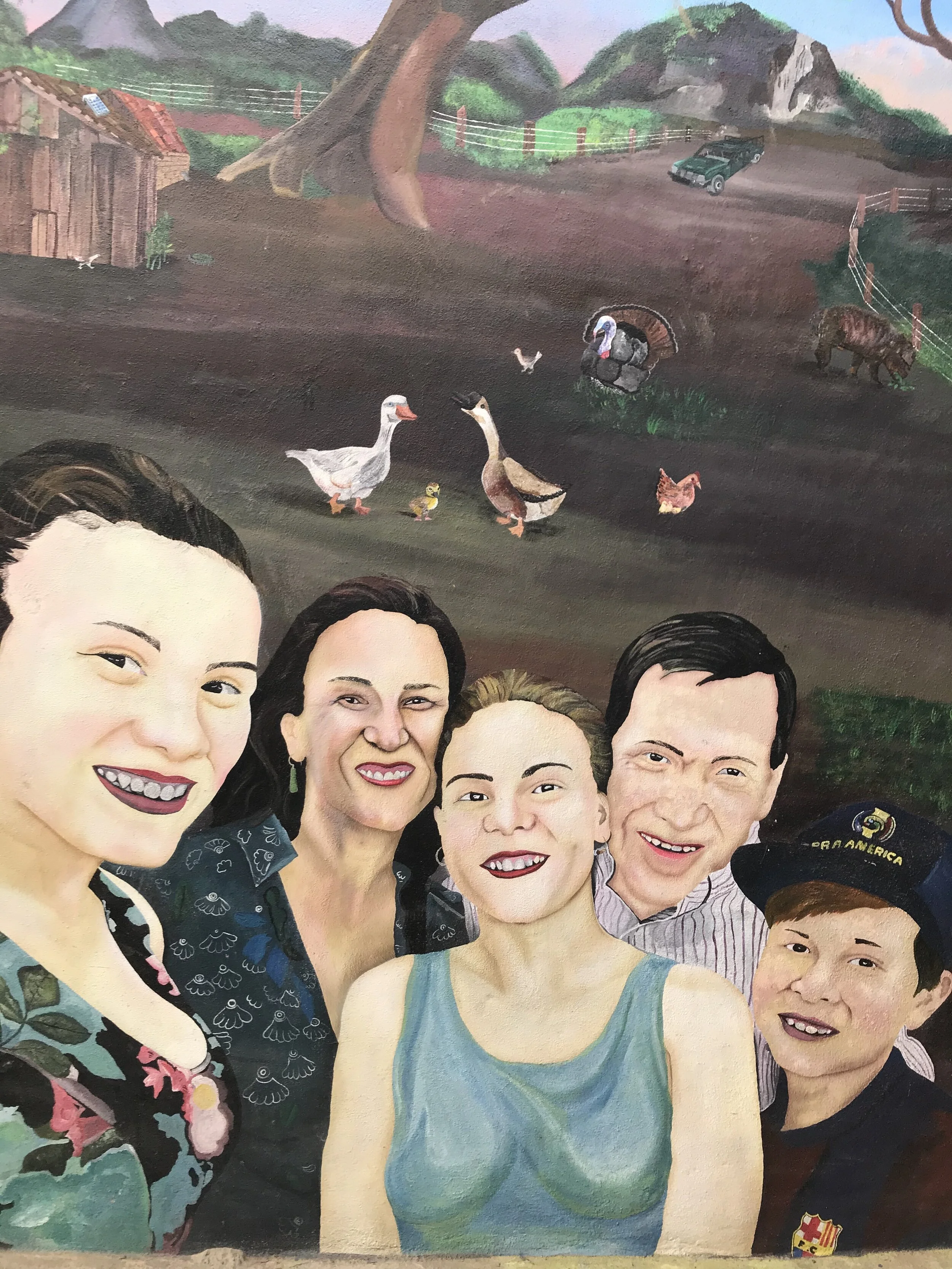 Dr. Kirsten Meisinger