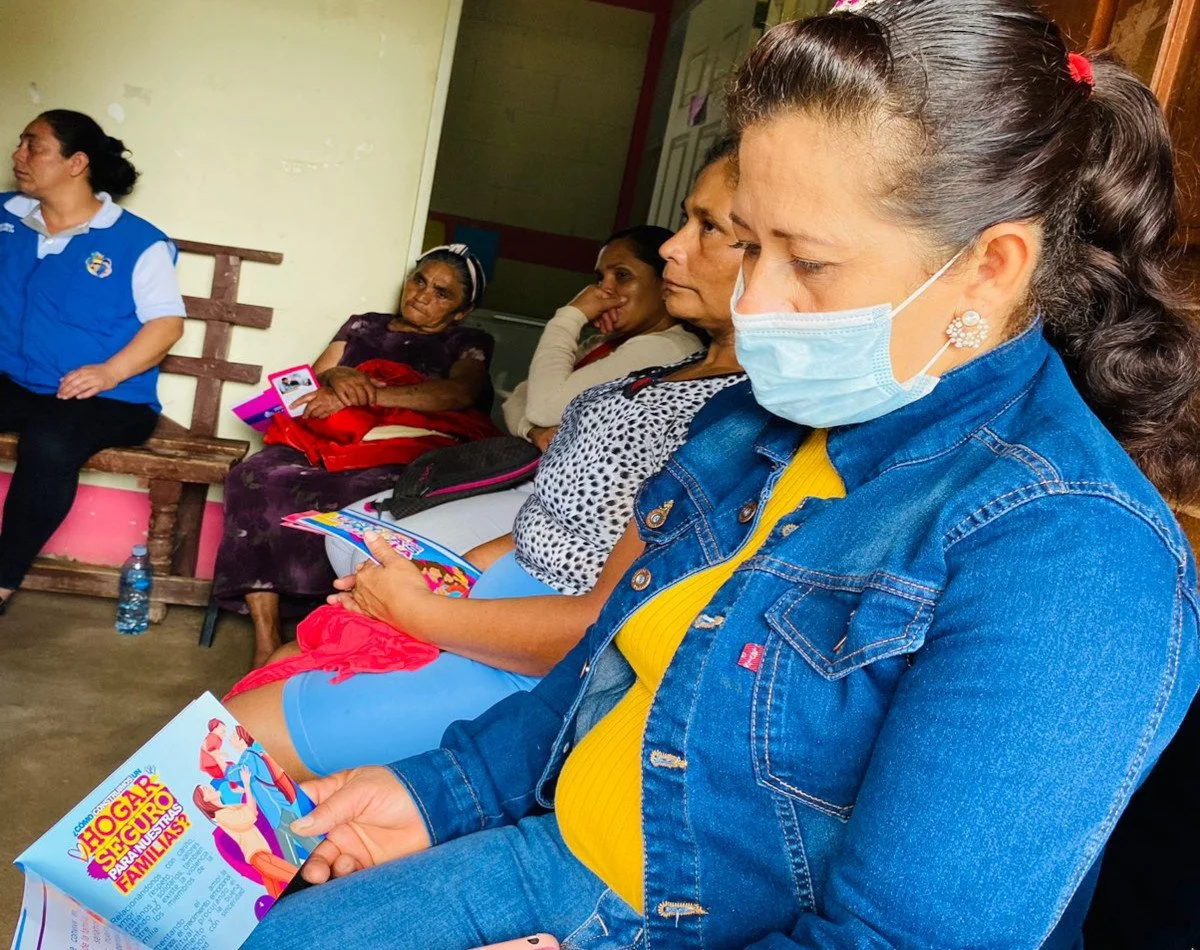 Project against domestic violence working in coordination with the Ministry of Health