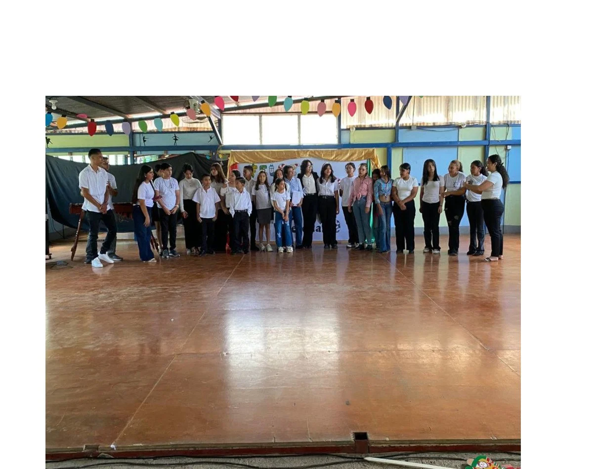 Christmas concert of the music, art, and dance project
