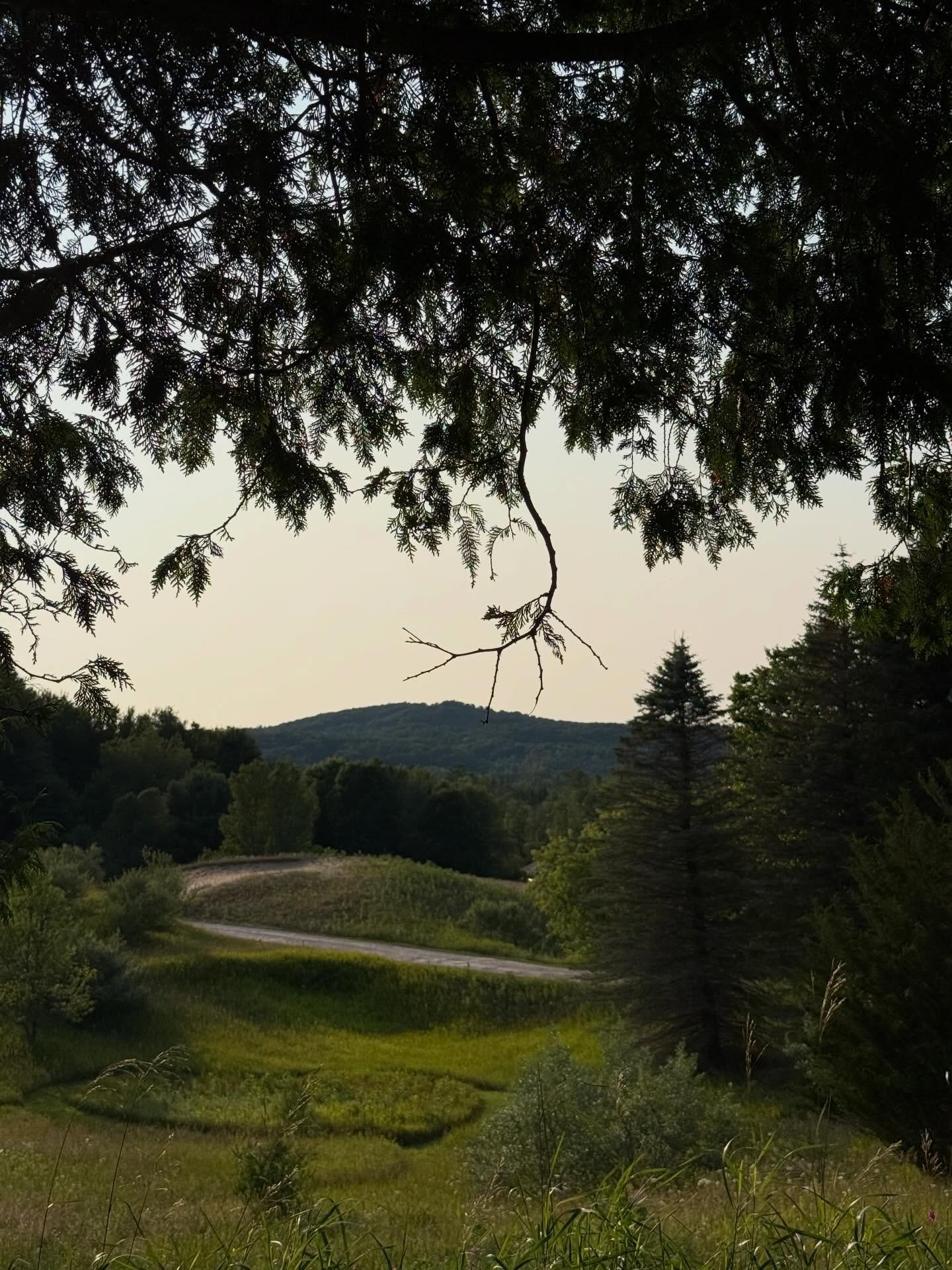 The Life *Possible* &hellip;touched grass, planted trees, read a book, happiest hours, feasted with family and friends, visited the waters edge and places that ground me. Thankful for vaulted ceilings and a blank wall for the self tapes that came in 