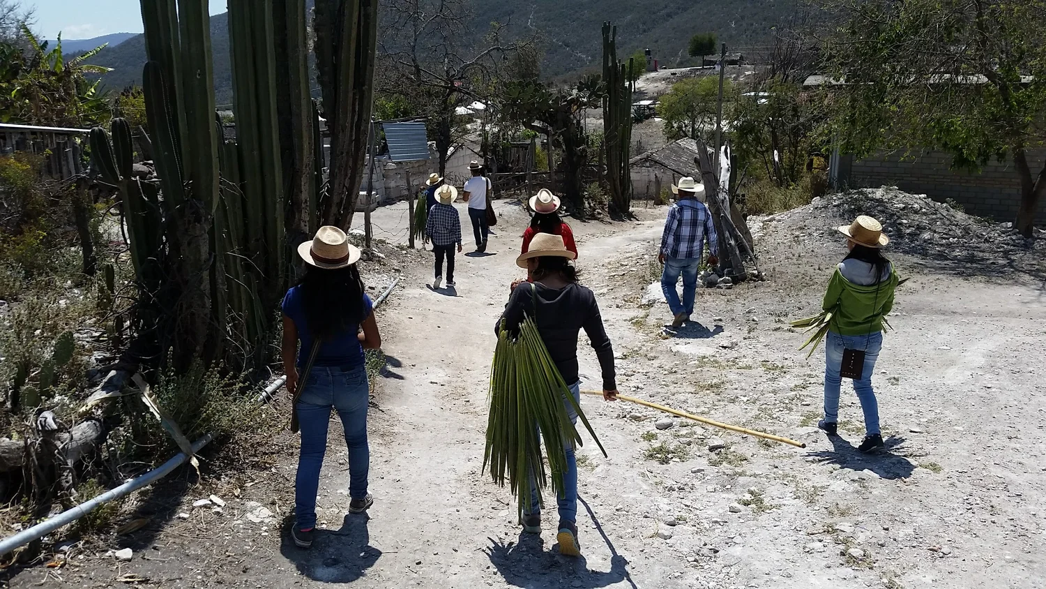 Artesanía de palma con identidad oaxaqueña