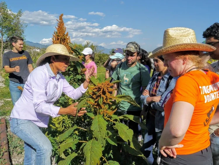 Estudiantes y miembros de la comunidad explorando recursos locales en Oaxaca