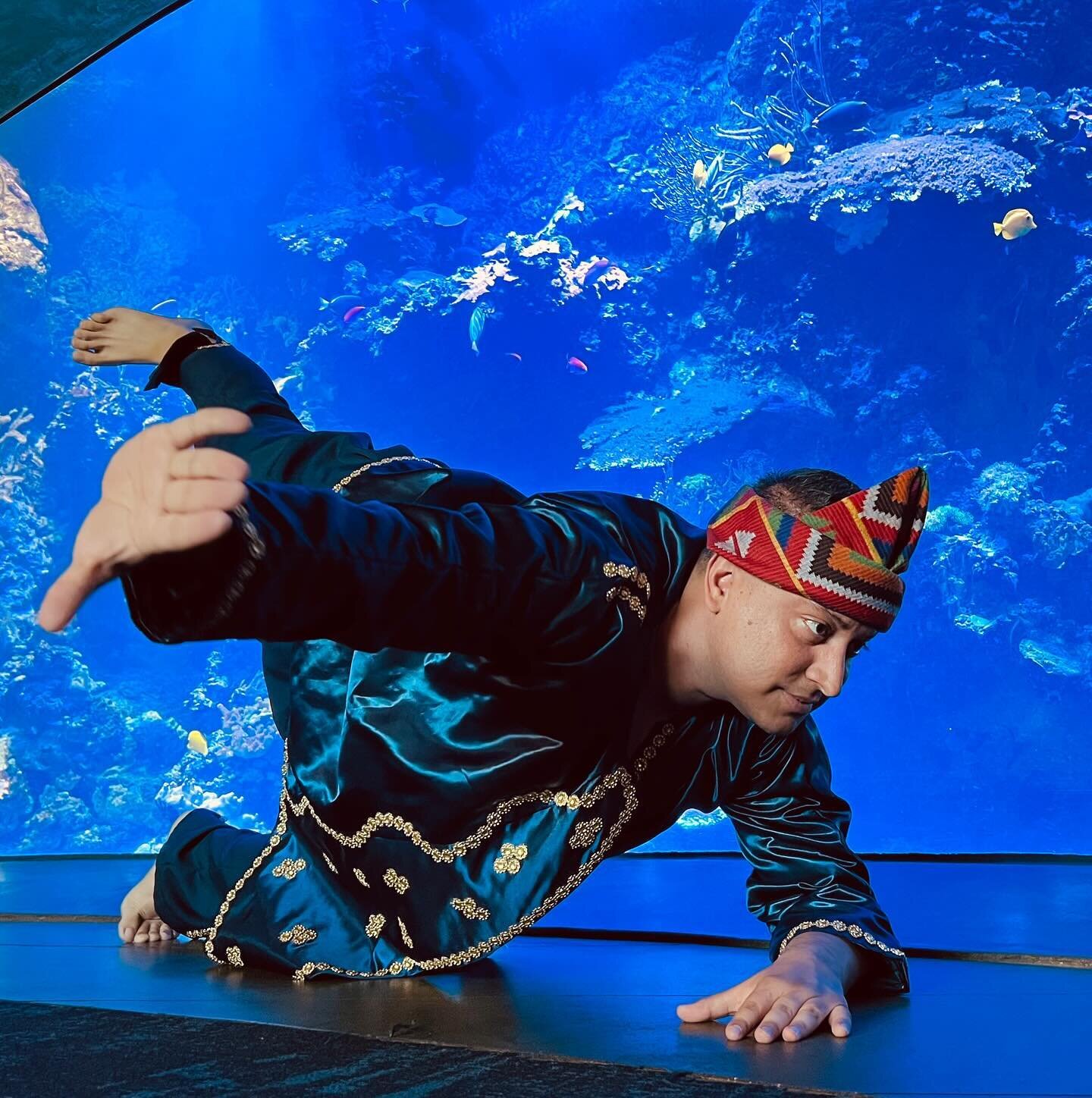 Last weekend we shared a glimpse of the Pulse of Pangalay at the Aquarium of the Pacific in Long Beach for the Autumn festival.  We felt the affinity between pangalay and the aquarium as we danced to the kulintangan evoking the surrounding sea.  A bo