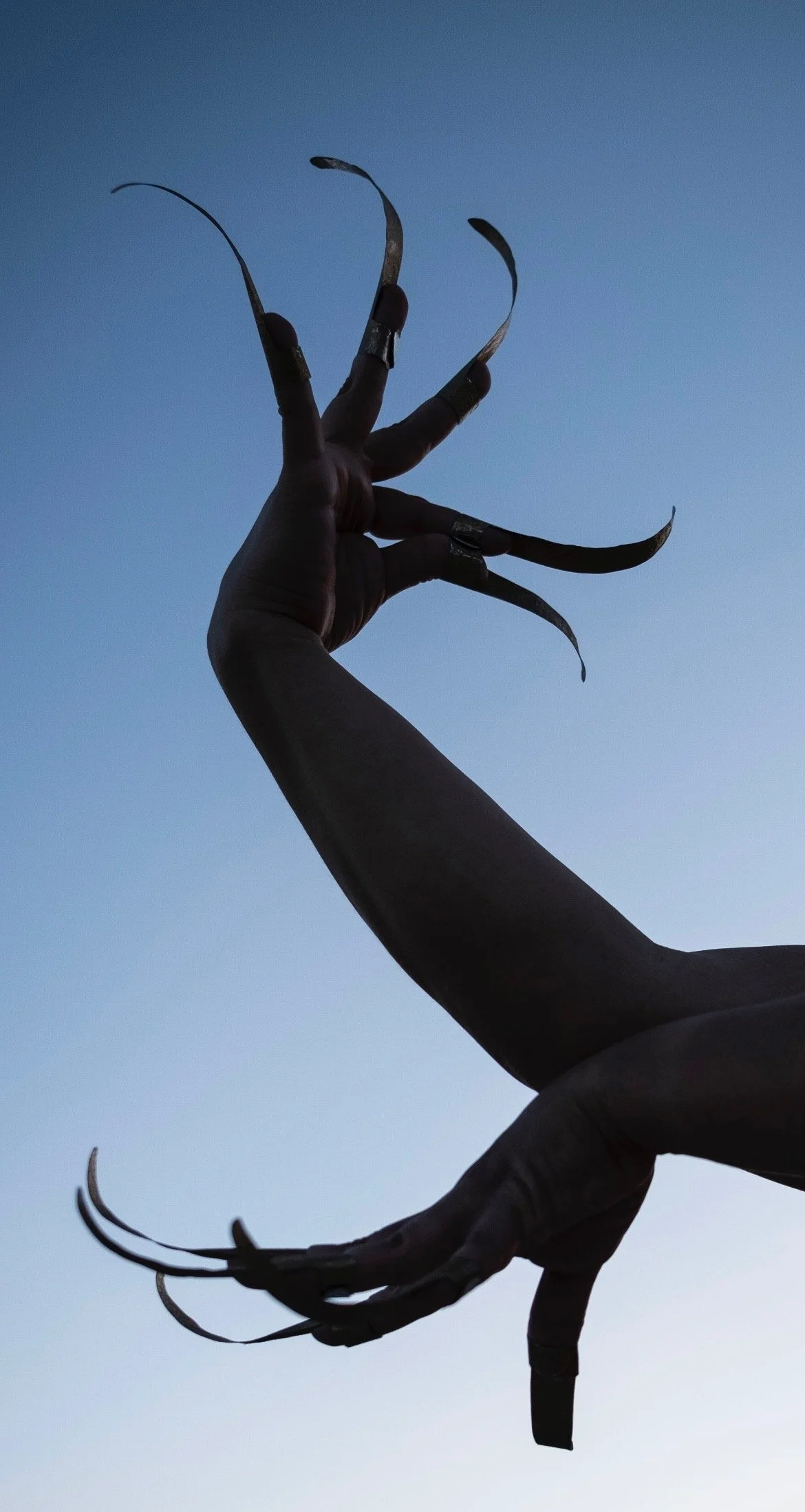 A person's hand with long, curved, dark nails and rings, holding a sharp object, silhouetted against a blue sky.