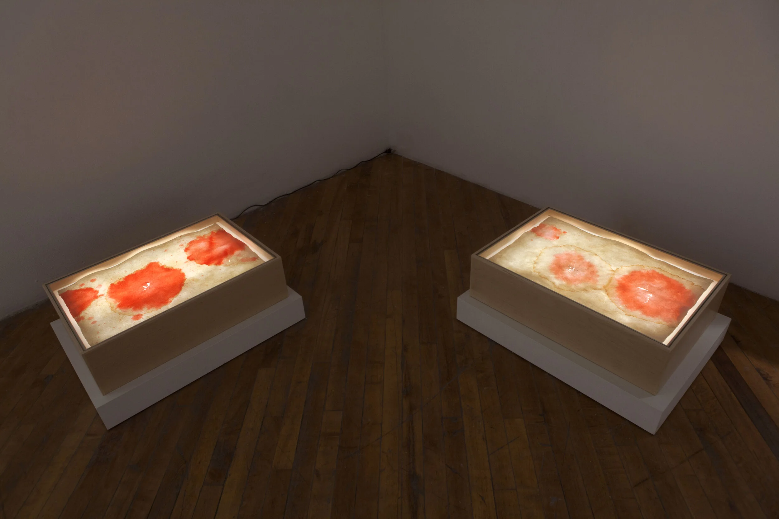   Drip Drawing I, II   (installation) 2019  birch tree sap, colourant, Amate paper, tempered glass, wood, plastic, LED electric lights   (photo by Karen Asher)   